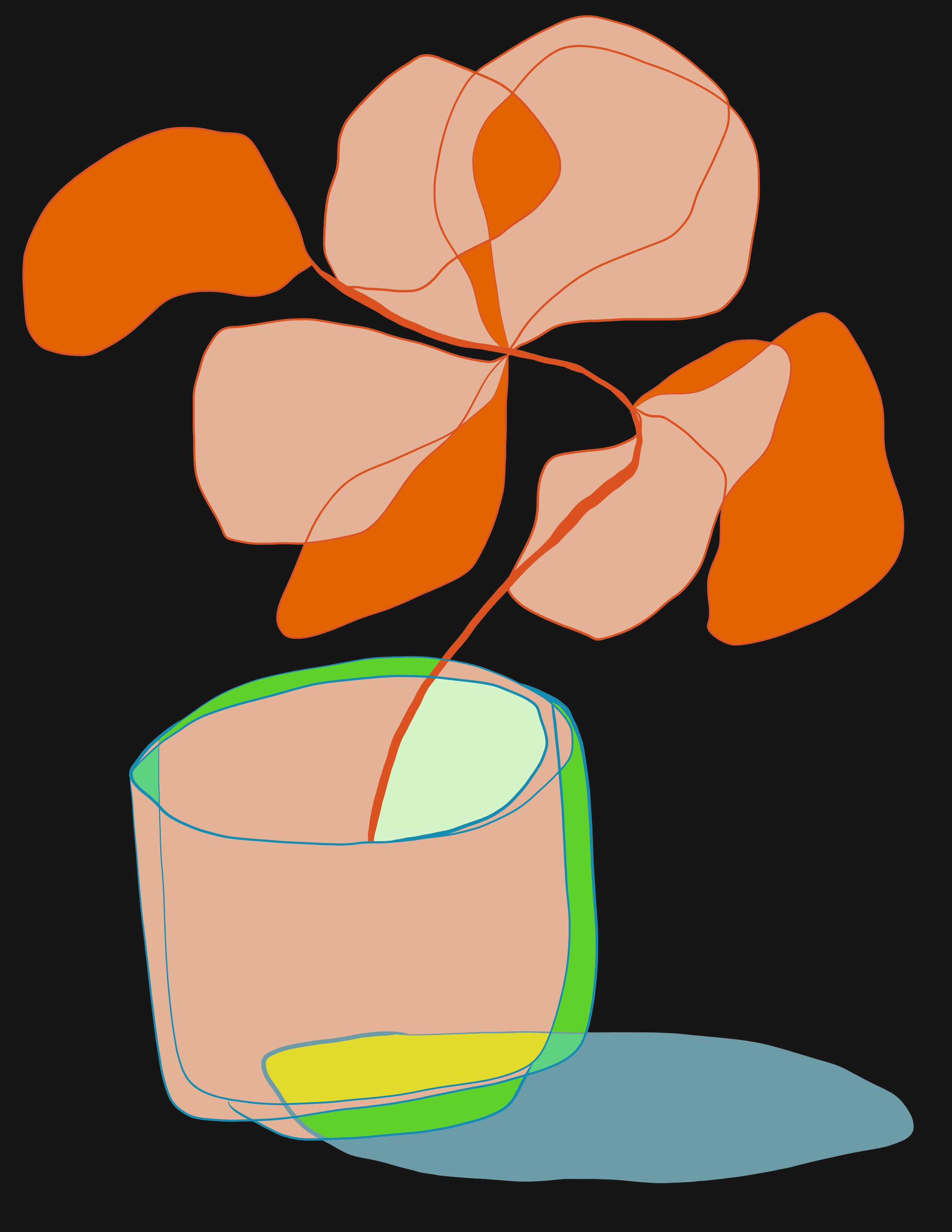 IMG_4551.PNG