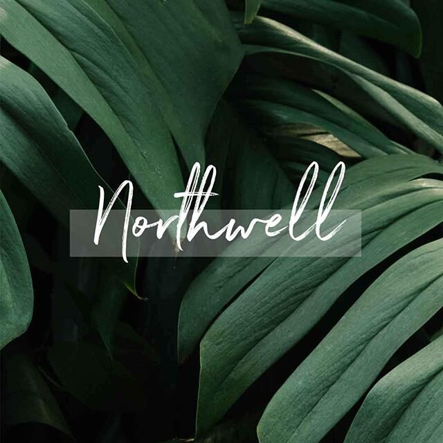 Font Appreciation post! ⁠⠀
⁠⠀
I love this gorgeous script font called Northwell by @setsailstudios. It looks great paired with a simple sans-serif font or just by itself for a simple but elegant design 👌🏼⁠⠀
.⁠⠀
.⁠⠀
#logodesign #fontdesign #branding