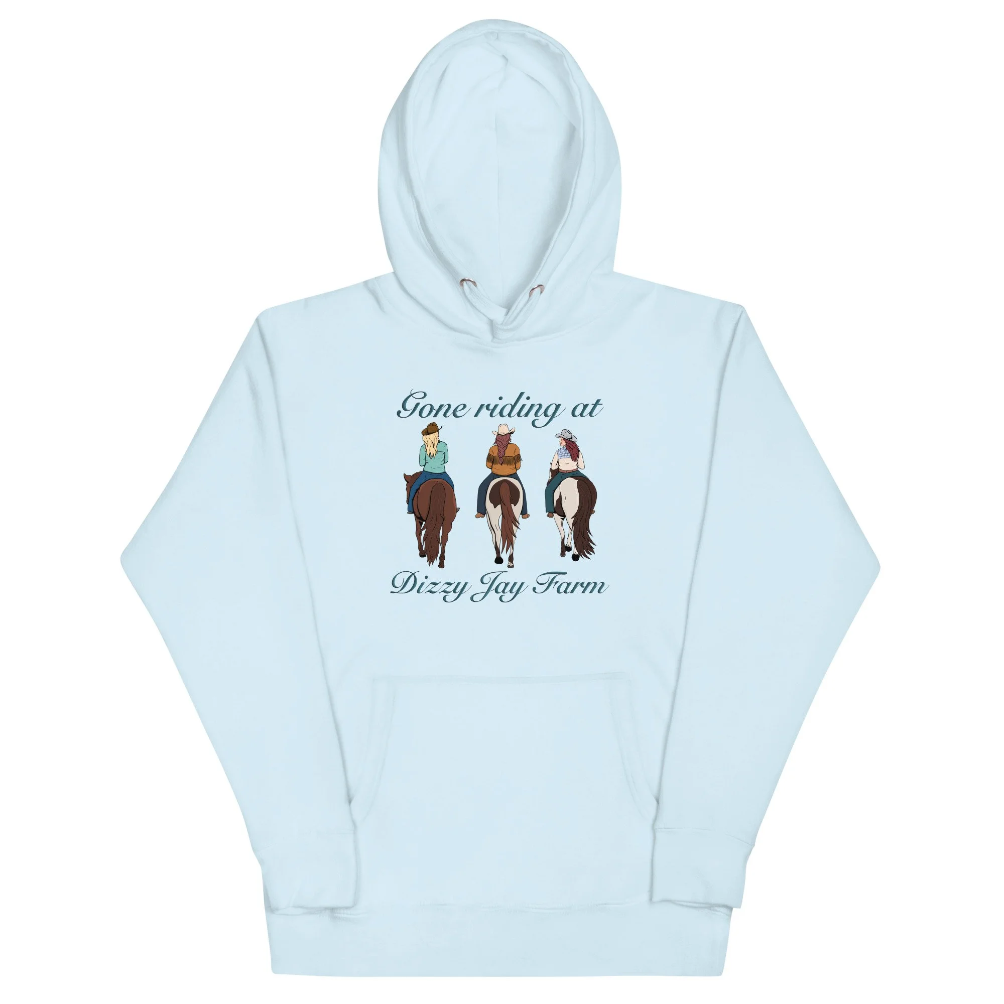 cotton-heritage-m2580-i-unisex-premium-pullover-hoodie-sky-blue-front-6942ea5106d15.jpg