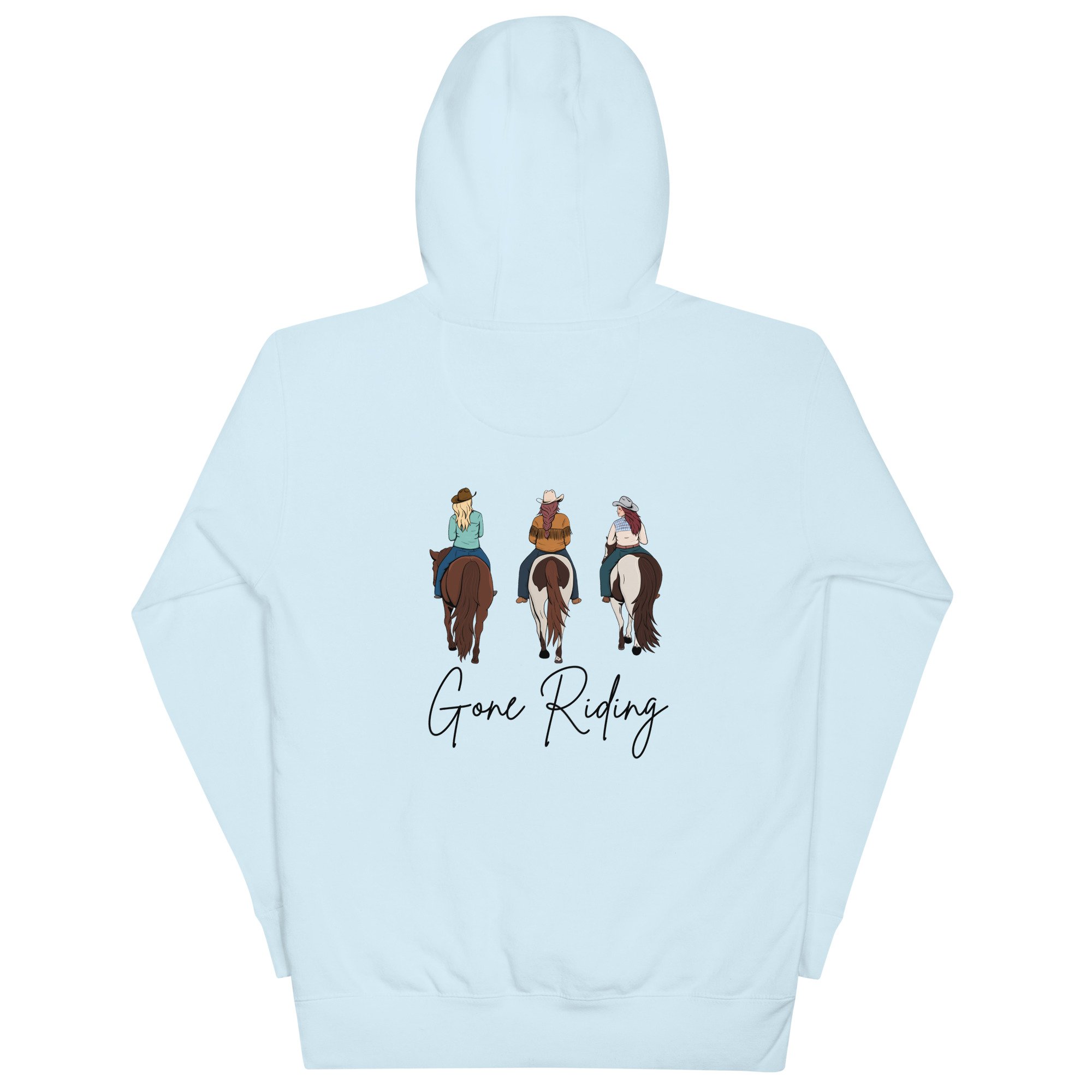 cotton-heritage-m2580-i-unisex-premium-pullover-hoodie-sky-blue-back-6942eadb21066.jpg