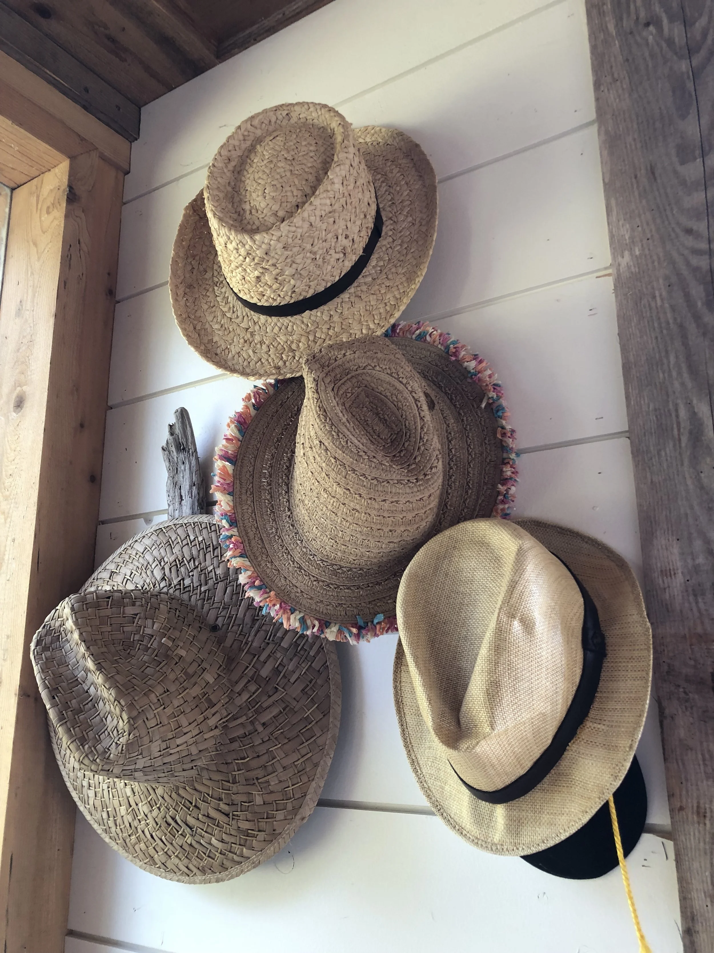 SUMMER GETAWAY: GLAMPING IN STYLE ON HORNBYISLAND