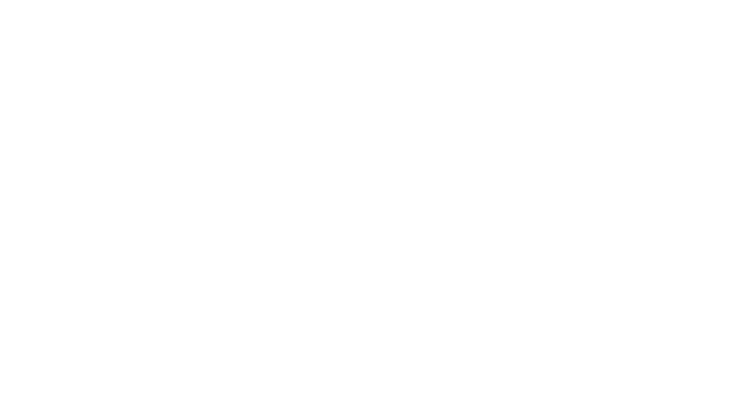 Dreamers Academy Foundation Inc.