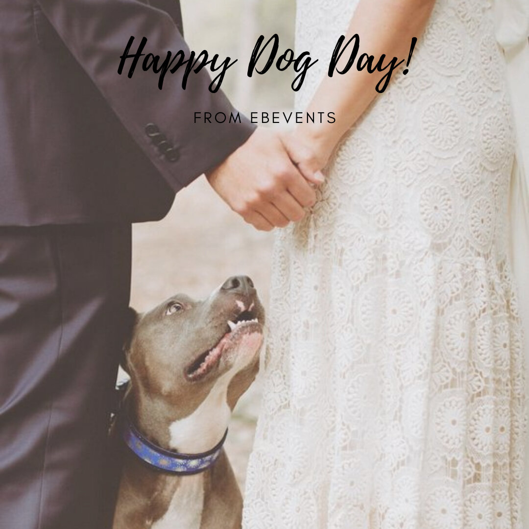 Happy International Dog Day Everyone! ​​​​​​​​
​​​​​​​​
#ebevents #ebeventsnz #newzealandweddings #weddingplanner #nelsonnz #bridetobe #weddingplanning #weddingtip #newzealandplanner #nzbride #love #weddingstyling #nelsonweddings #wedding #bride #ins