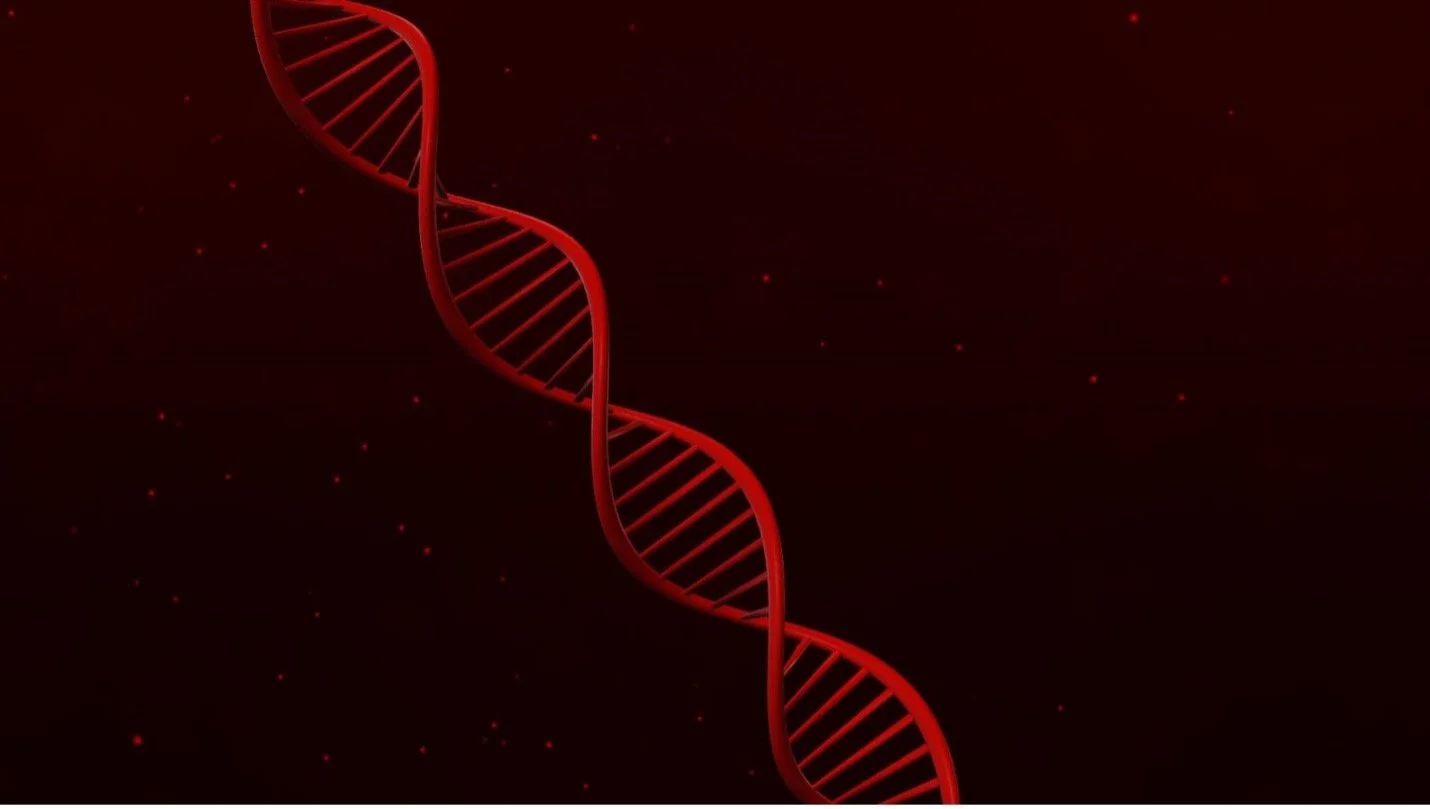 The Milwaukee Hematologic Malignancies Innovations Summit