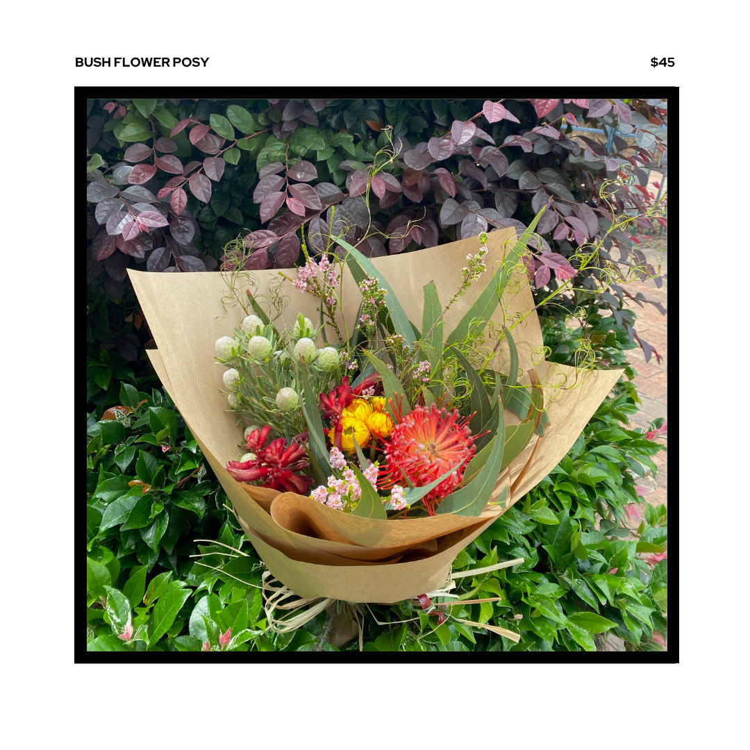 bush posy.png
