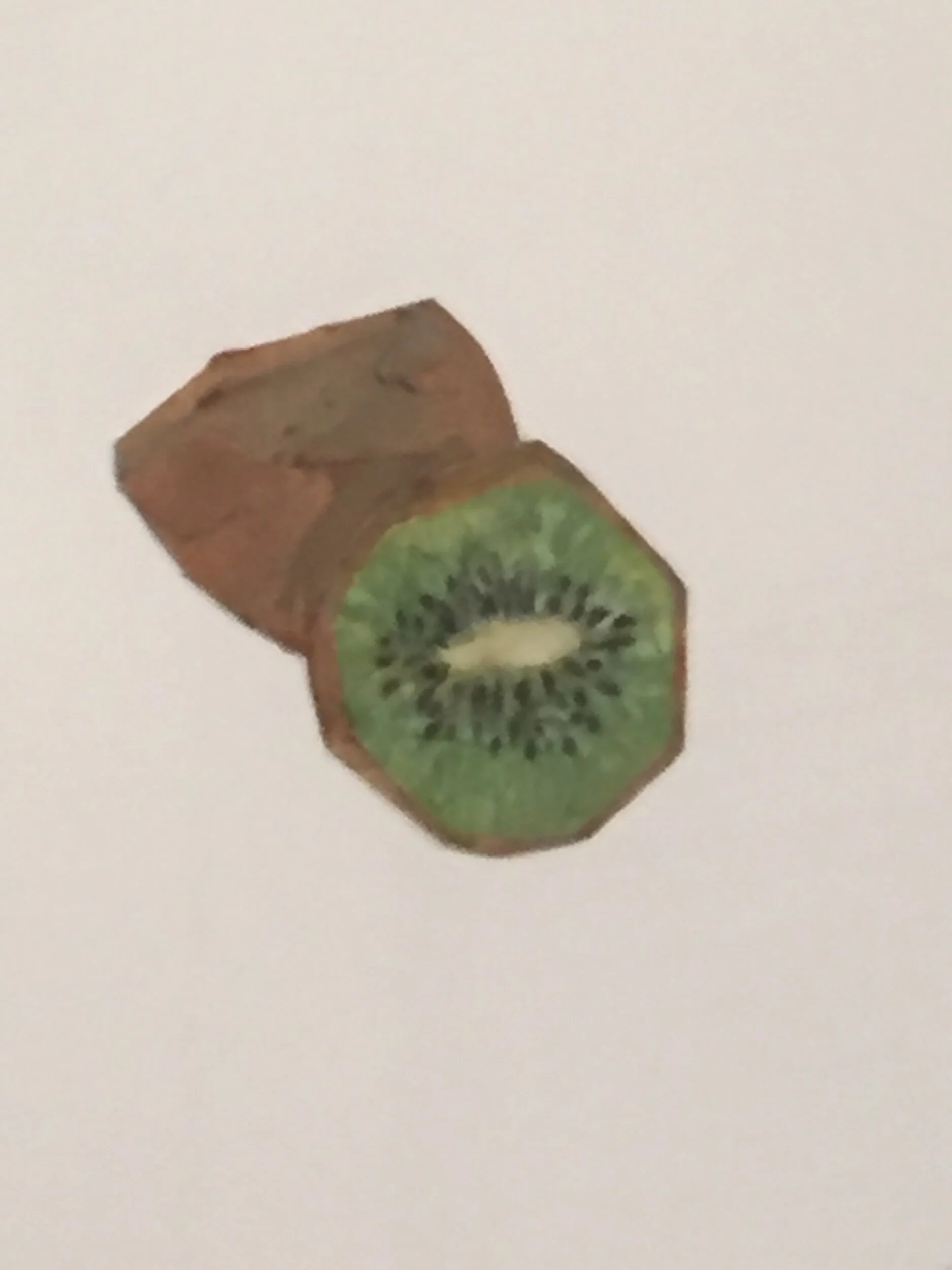 1566FE37-DF14-42E0-9454-64D20E25E54B