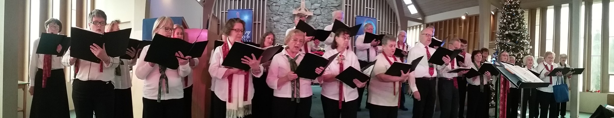 BCC 2018 group STEPS.jpg