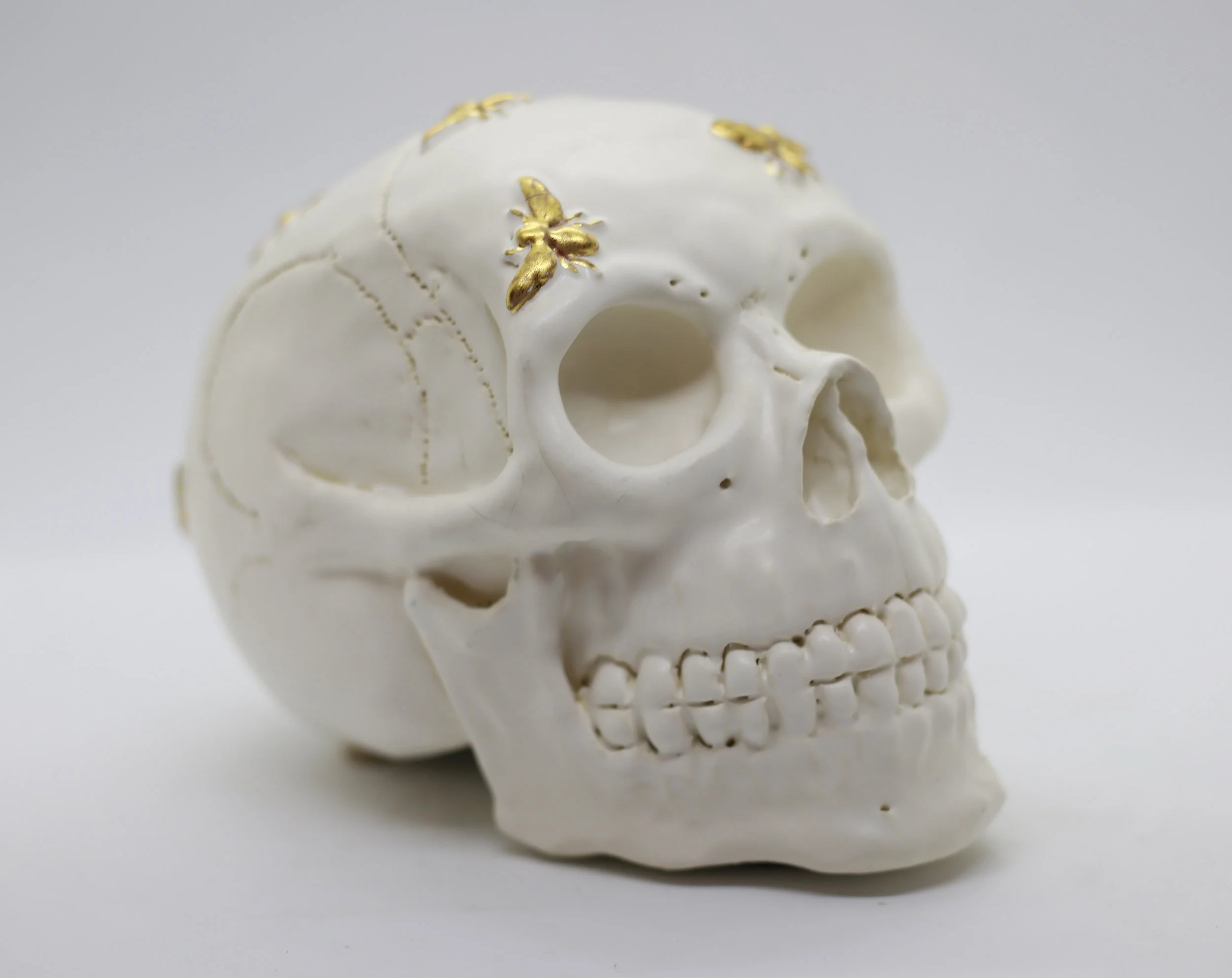 Glazed Skull with 24K Gold Painted Bees