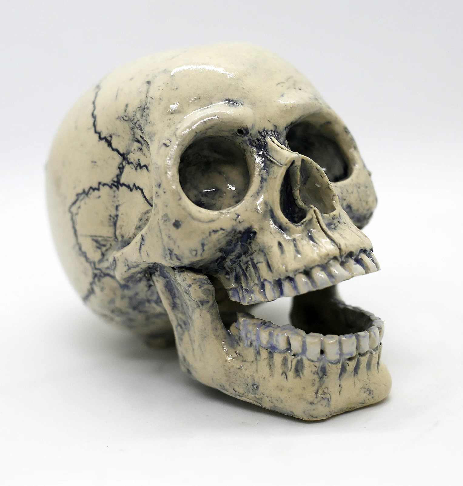 Blue and Natural Glazed Skull