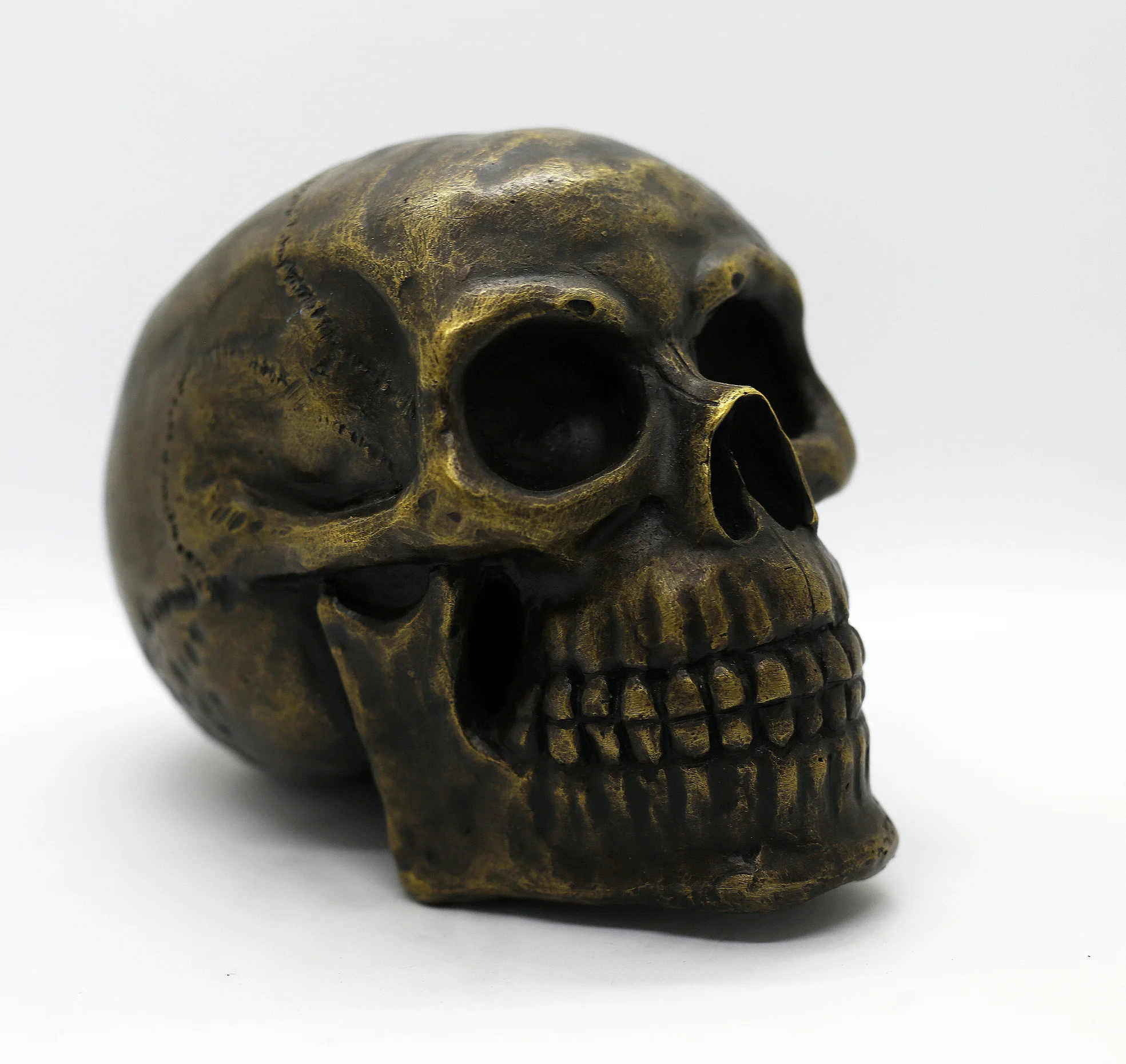 Bronze Skull Right.jpg