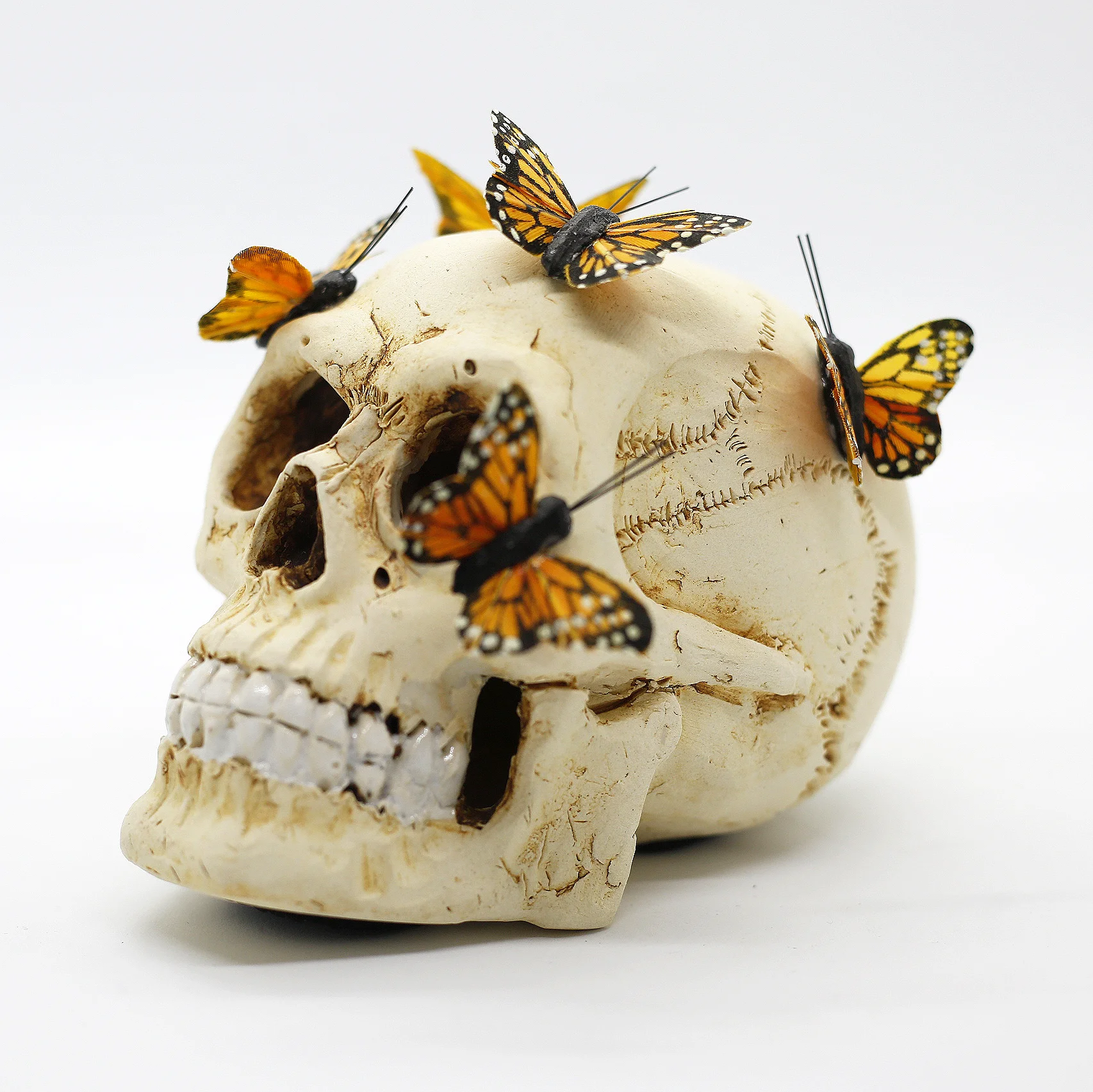 Butterflies Left.jpg