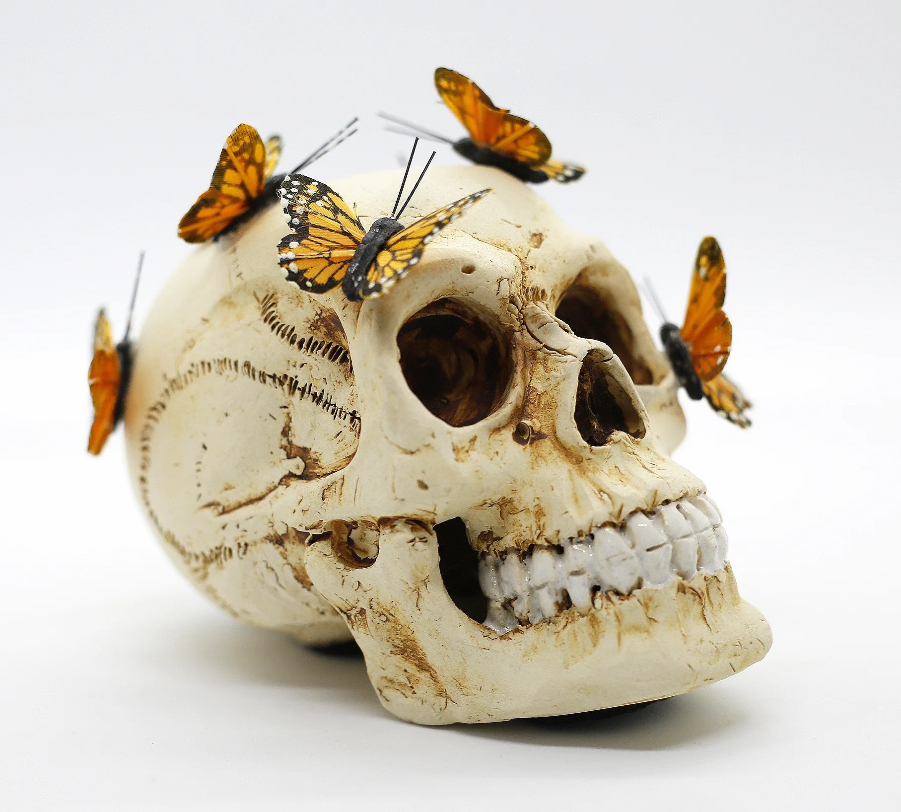 Butterflies Right.jpg