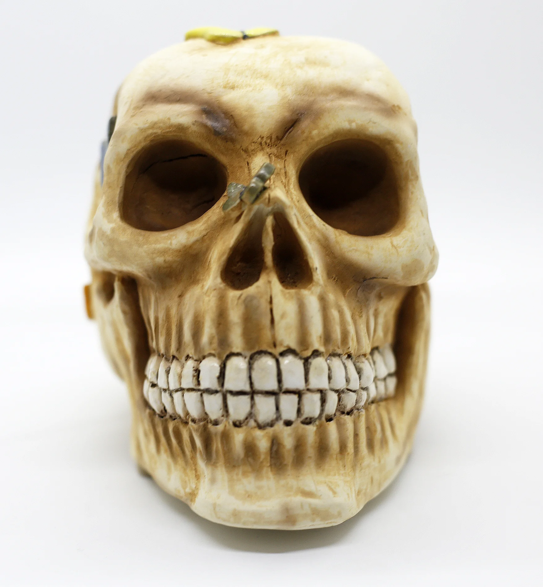 Natural Skull w/ Colorful Butterflies