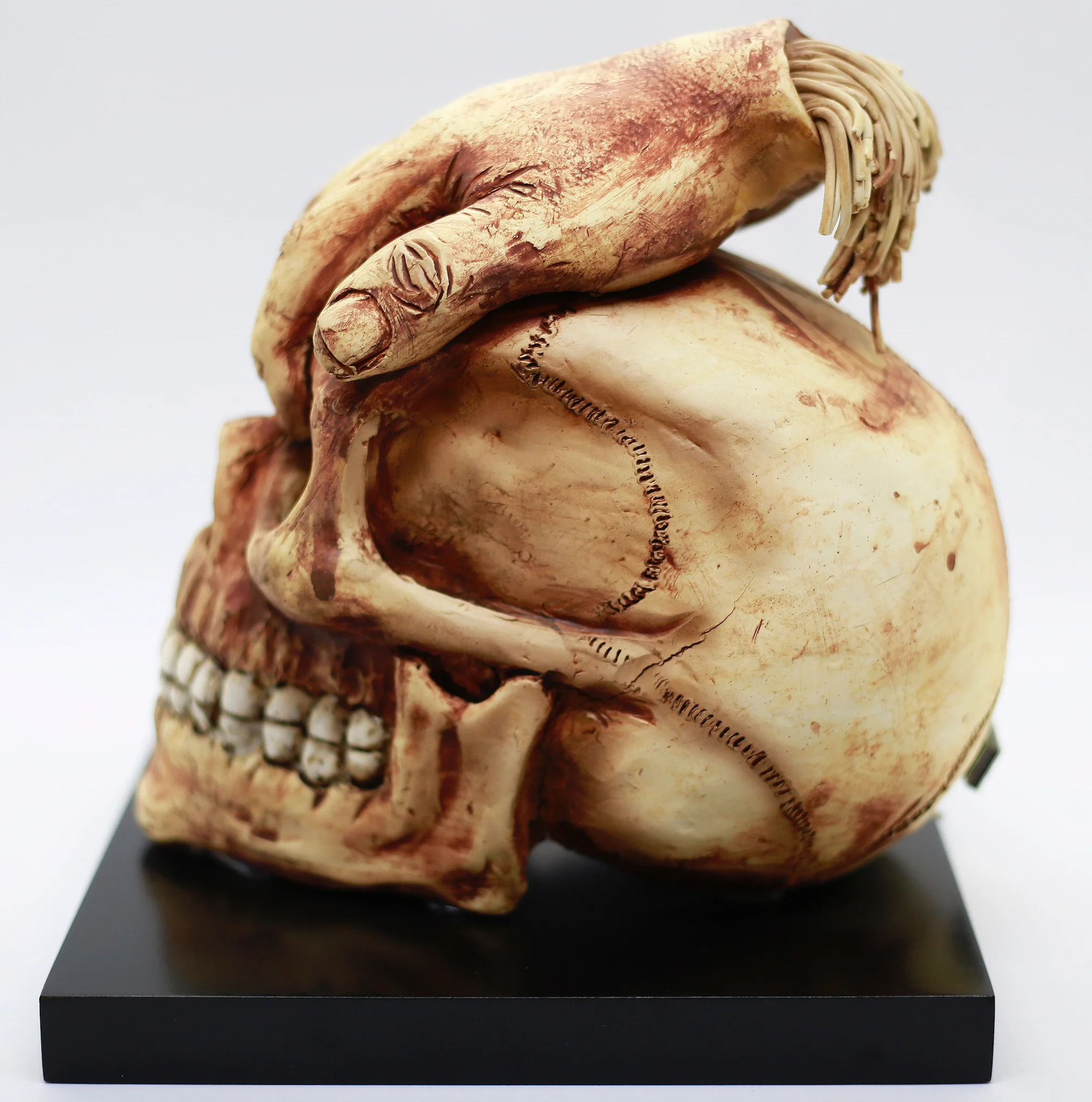 Skull w/ Hand In Eye Sockets