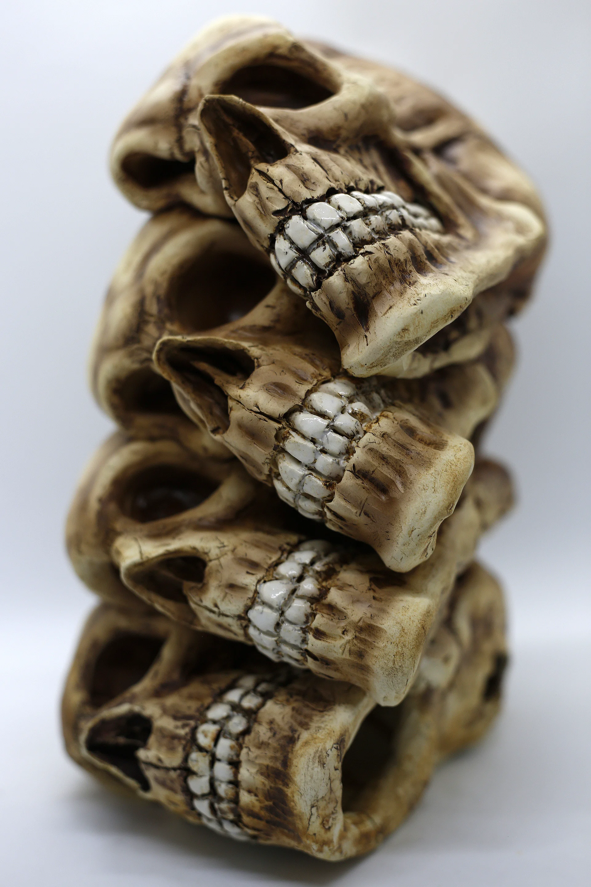 Stacked Skulls 1.JPG