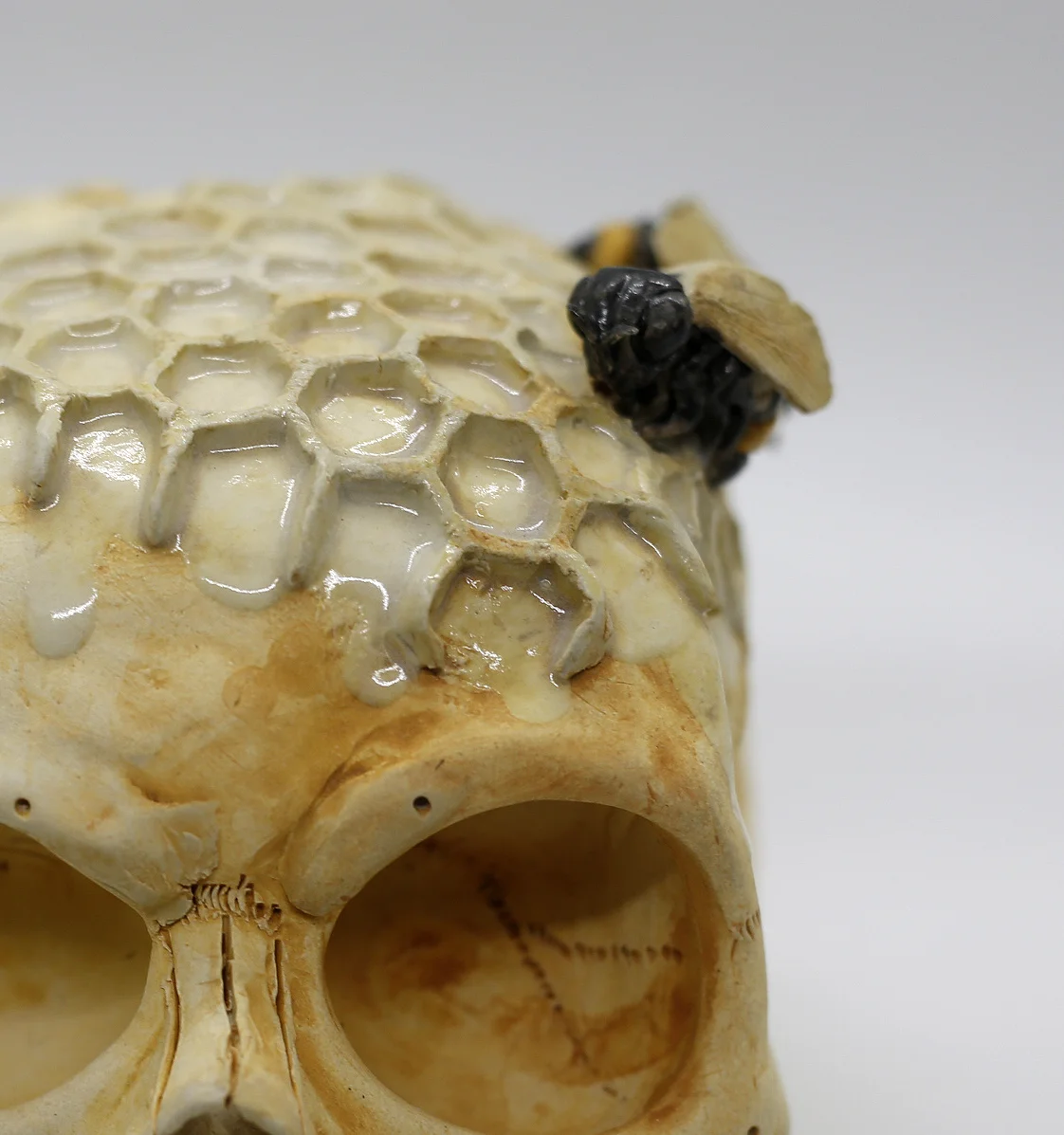 Honey Comb Closeup.JPG