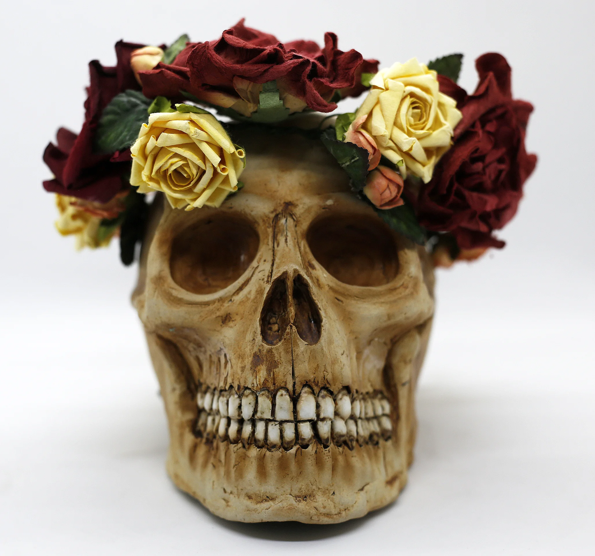 Natural Skull w/ Roses Crown