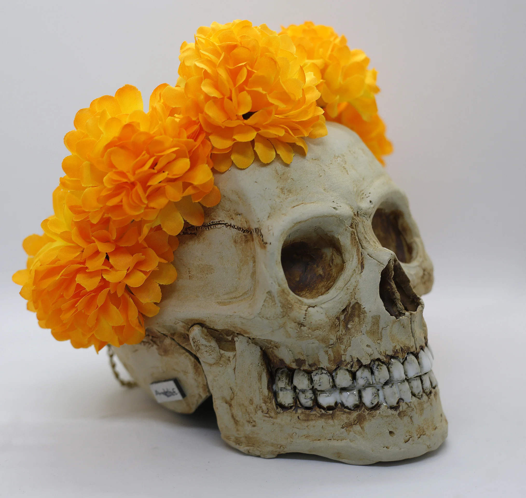 Marigold Crown Right.JPG