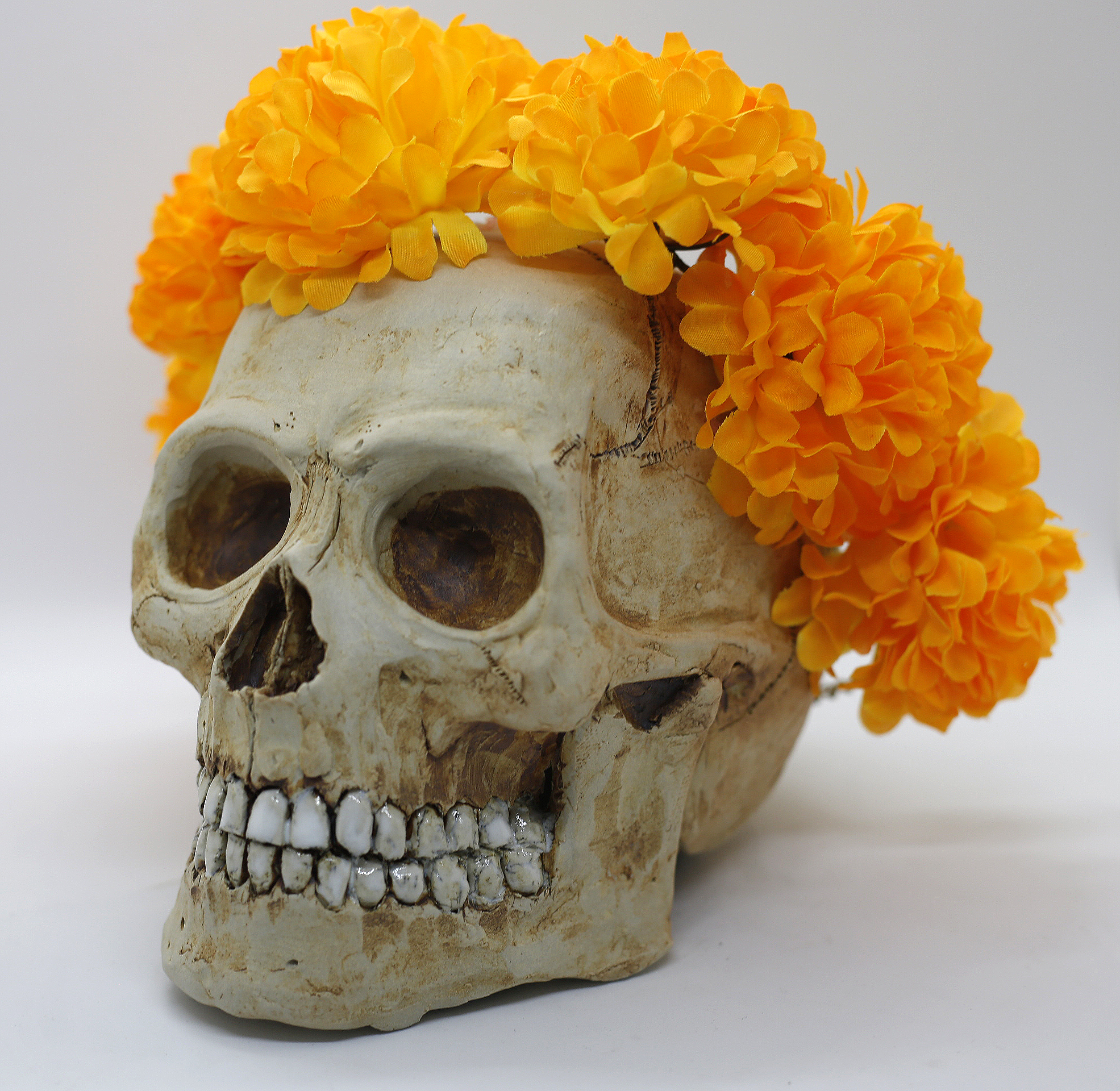 Marigold Crown Left.JPG