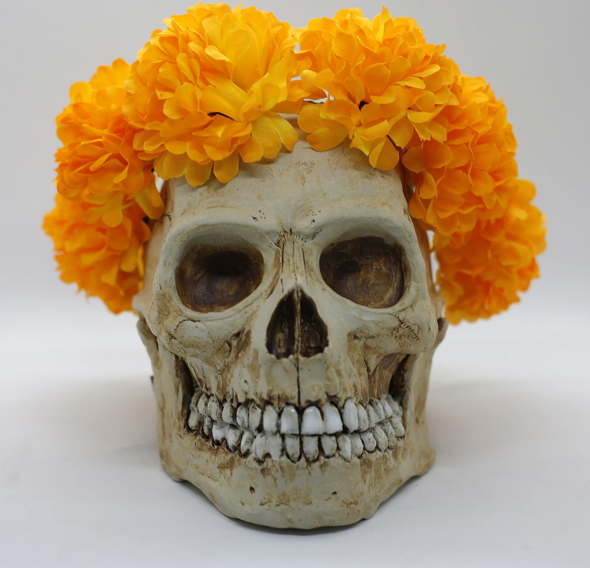 Marigold Crown Straight.JPG