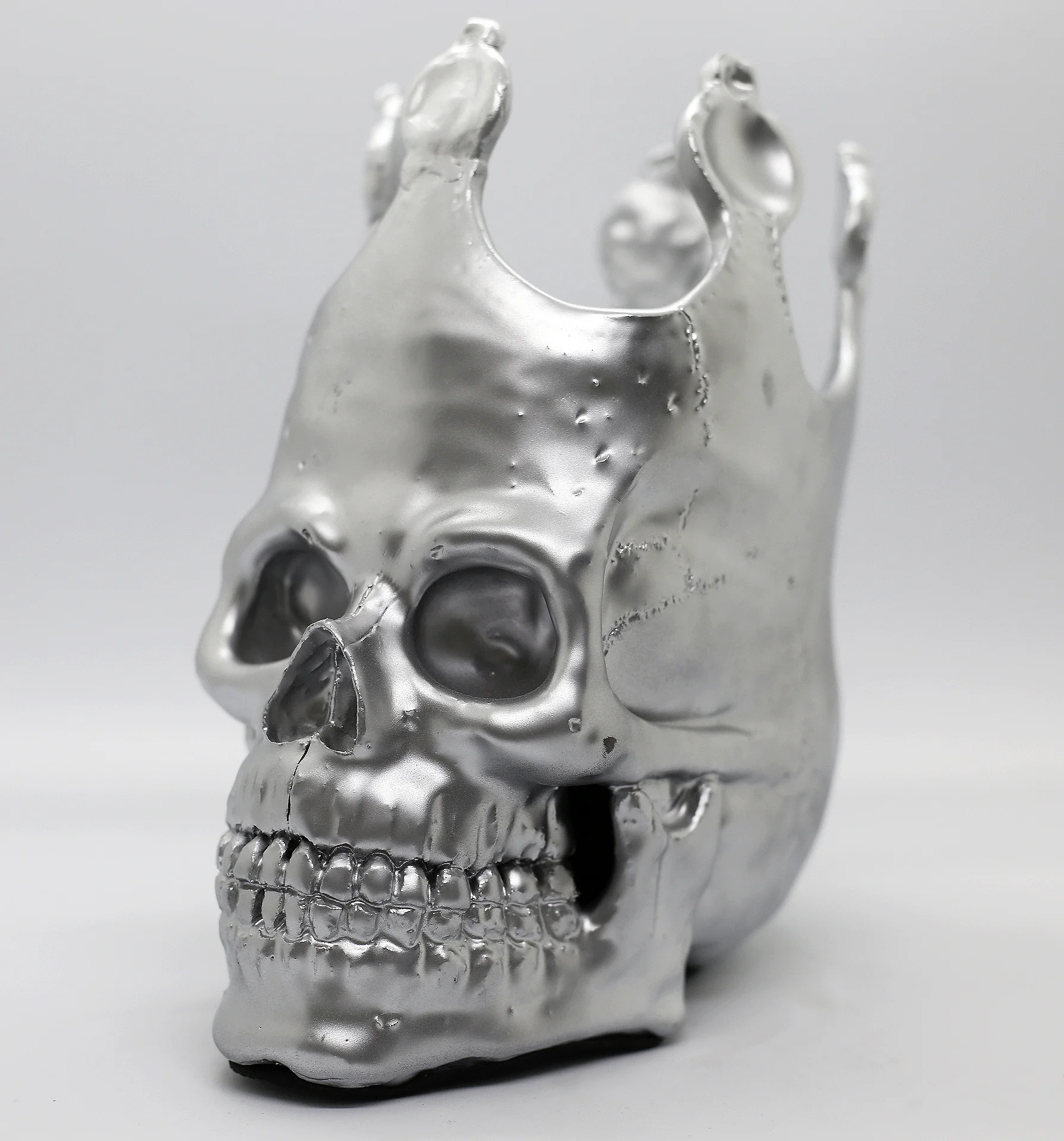 Silver King Skull Left.JPG