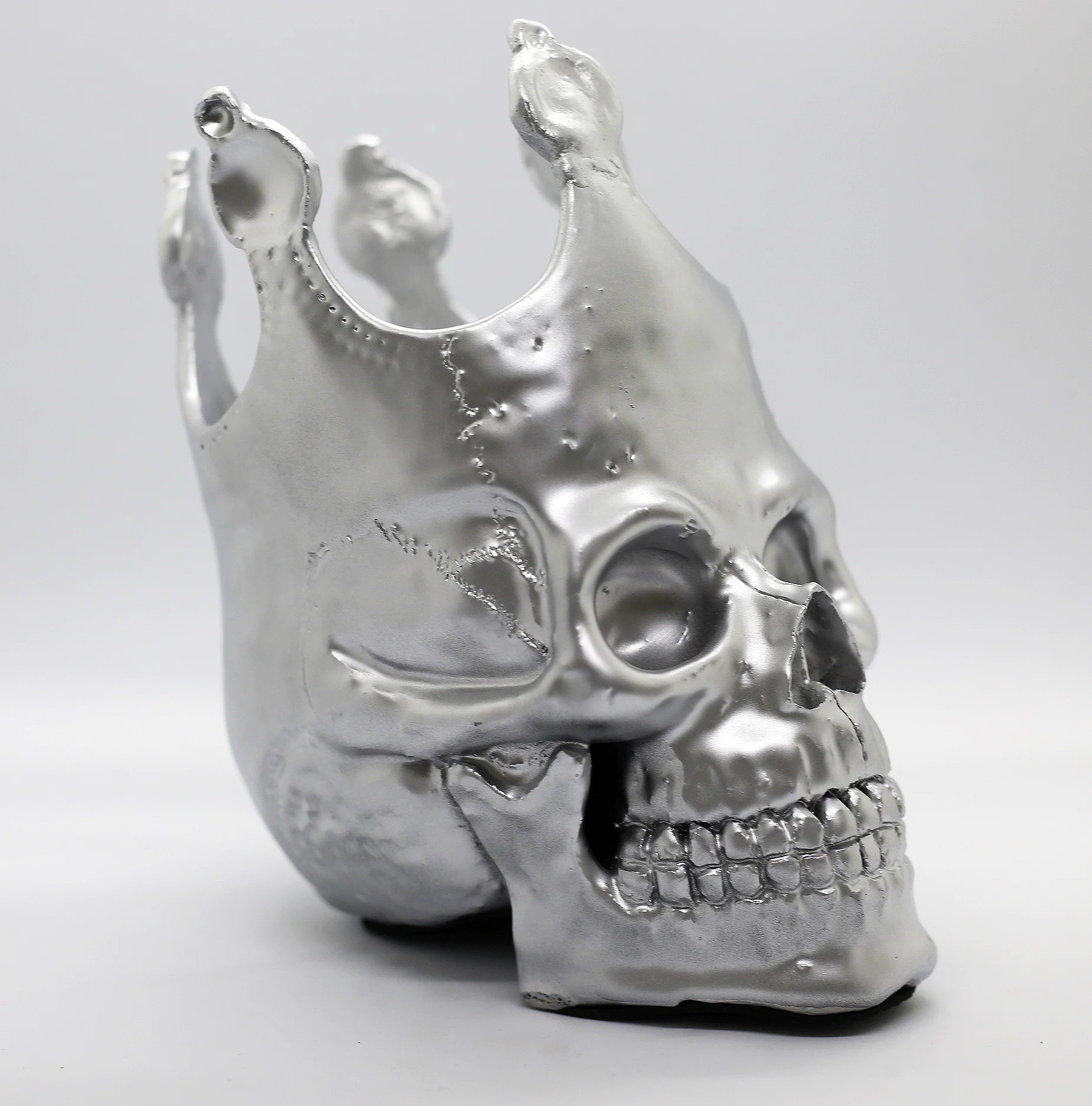 Silver King Skull Right.JPG