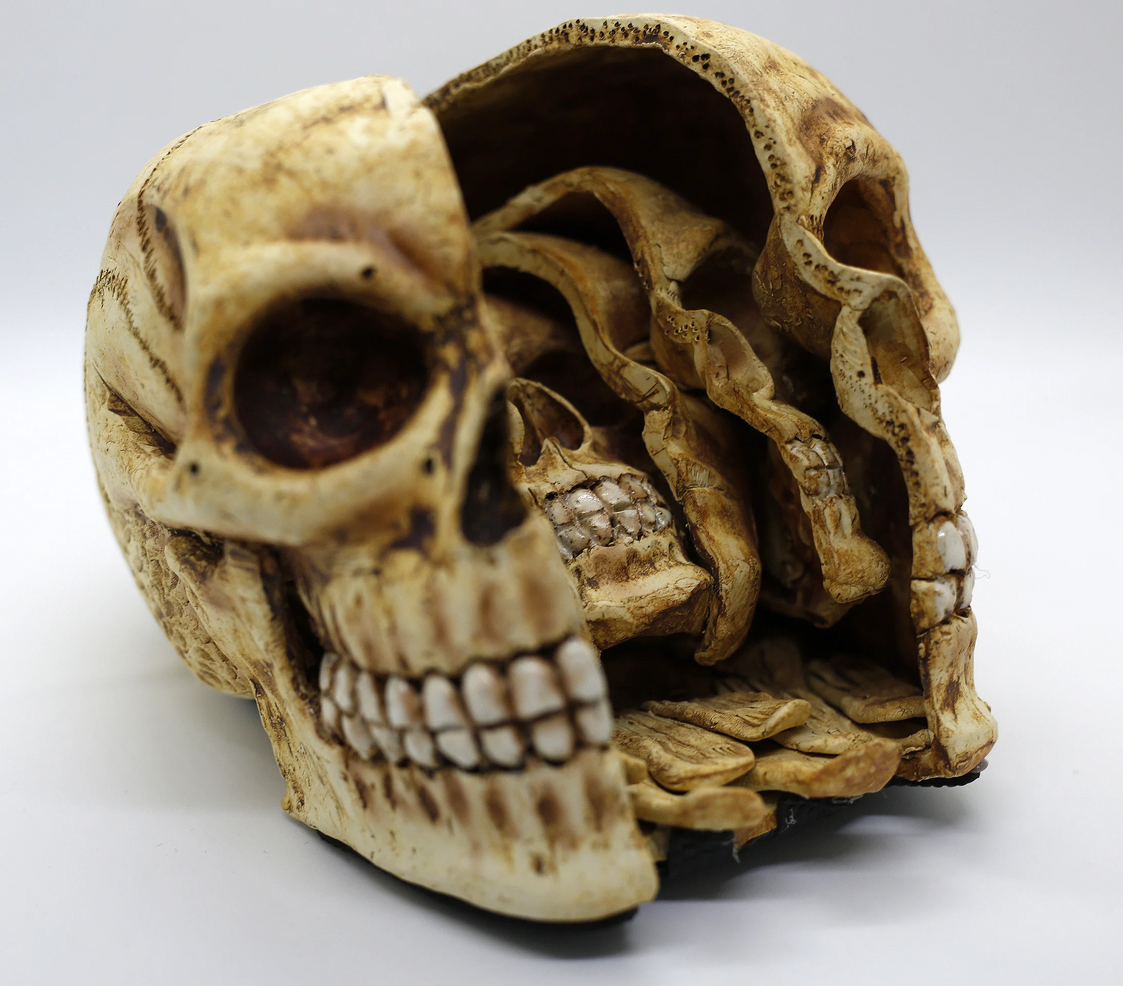 Face Within Right.jpg
