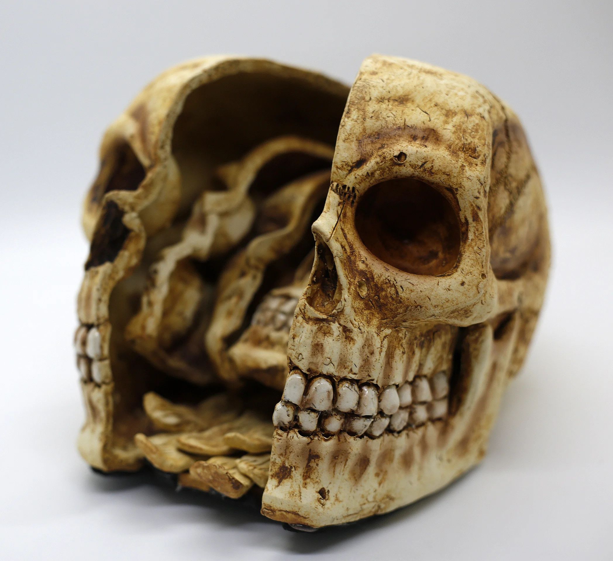 Face Within Left.jpg