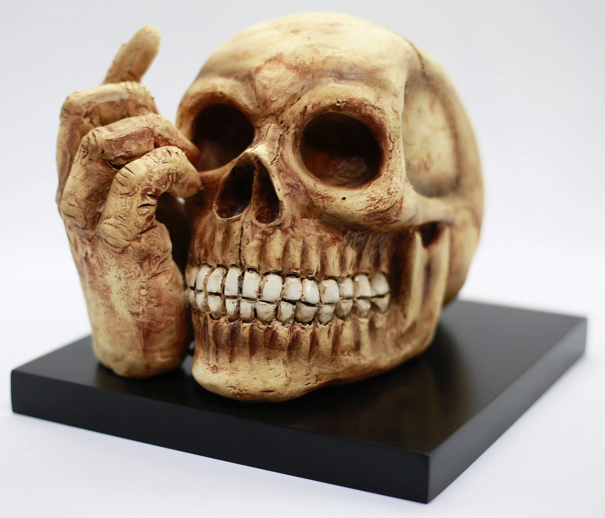 Natural Skull w/ Fingers in Eye Socket