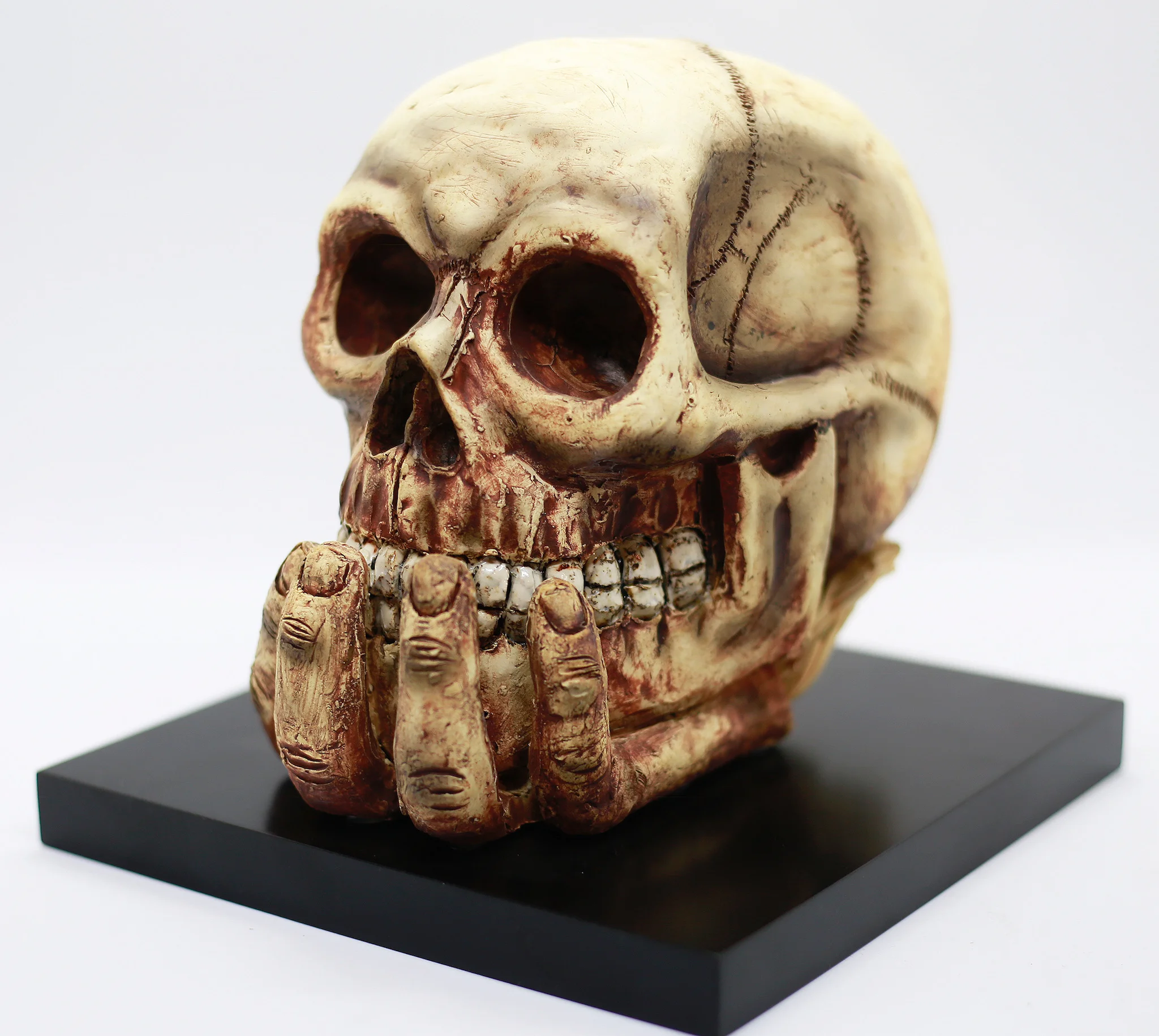 Natural Skull w/ Hand Holding Head