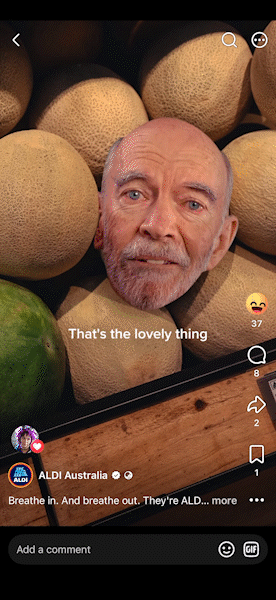 Melon_1 GIF.gif