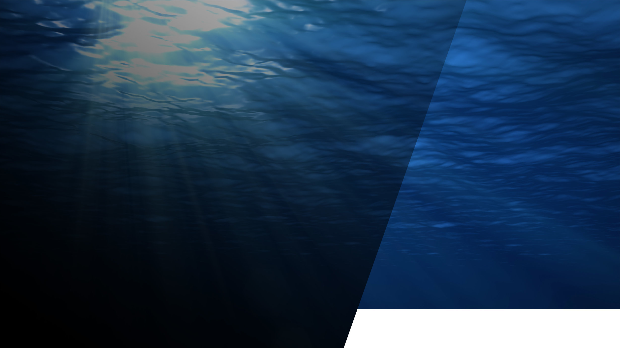 banner.jpg