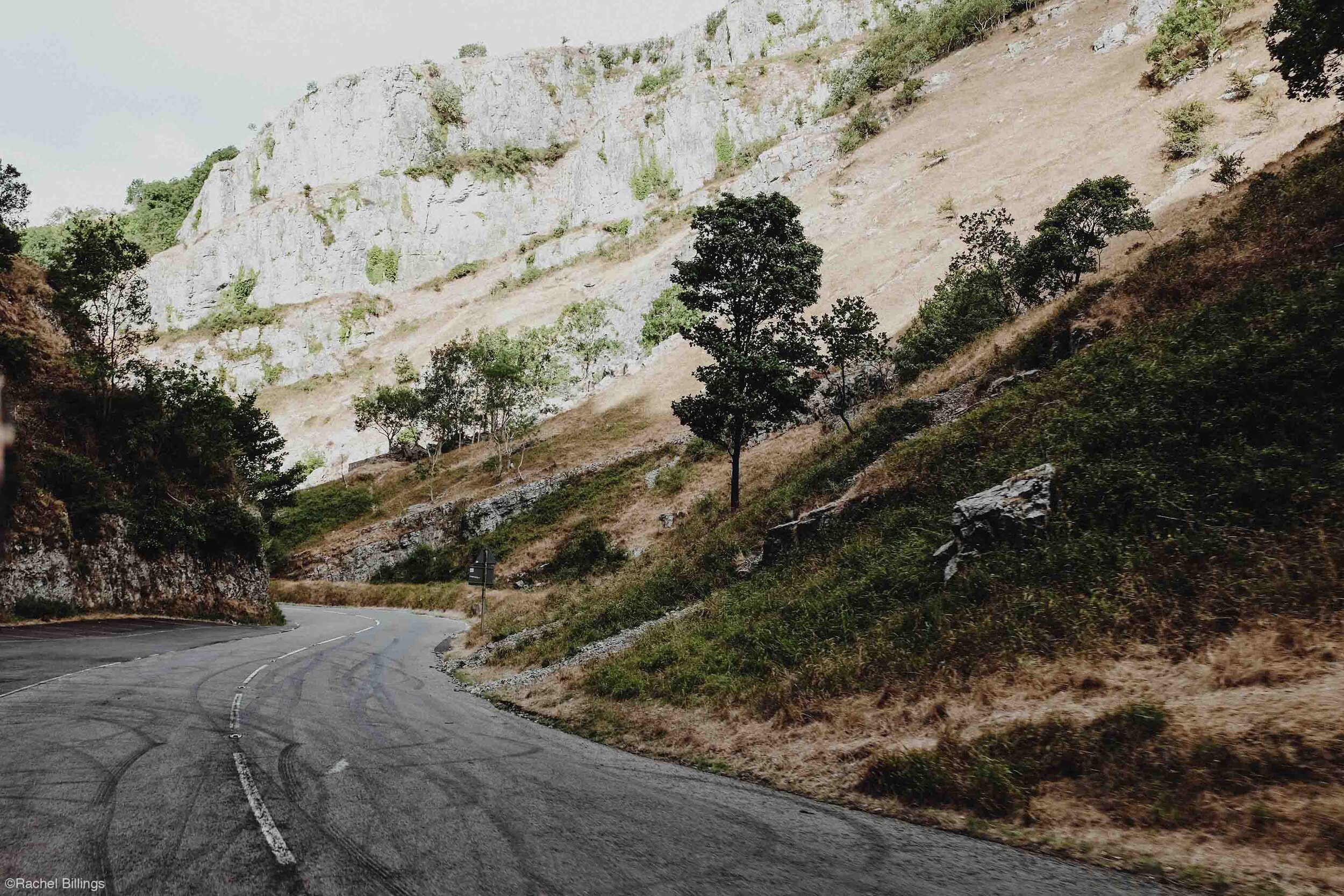 ©RachelBillings_TGM_8.jpg