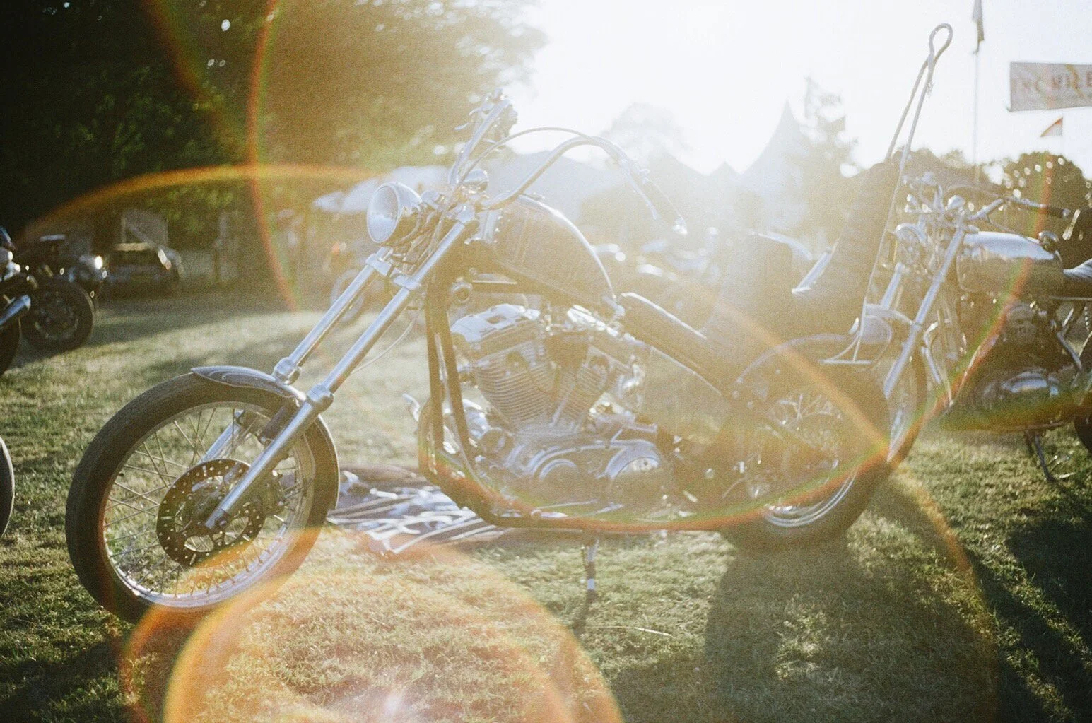 Photo 03-04-2022, 12 03 30.jpg