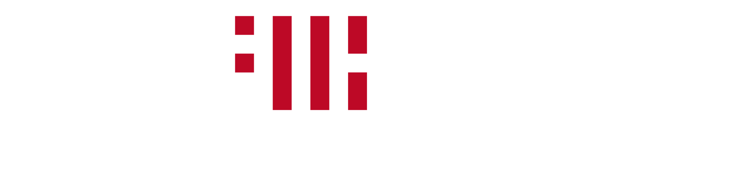 FINN BUCKLE Light ALPHA Web.png