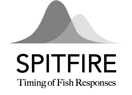 SPITFIRE_logo.jpg