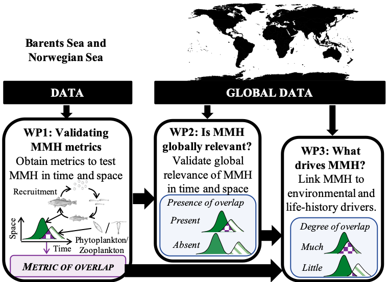 Figure 1 - Conceptual figure of SPITFIRE. WP: work package; dark green: prey; light, lined green: predator; and squared, purple: overlap.