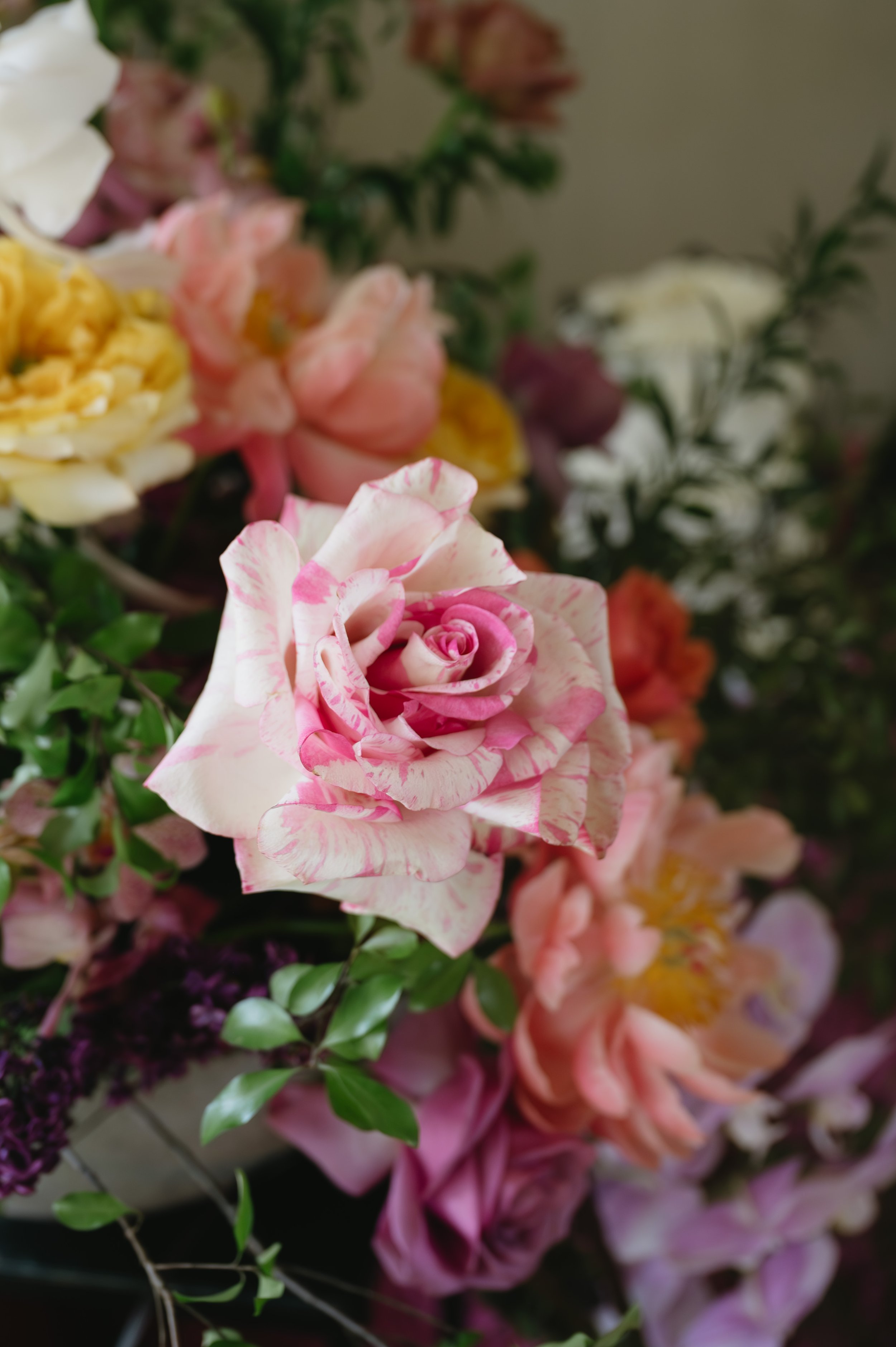posy-46.jpg