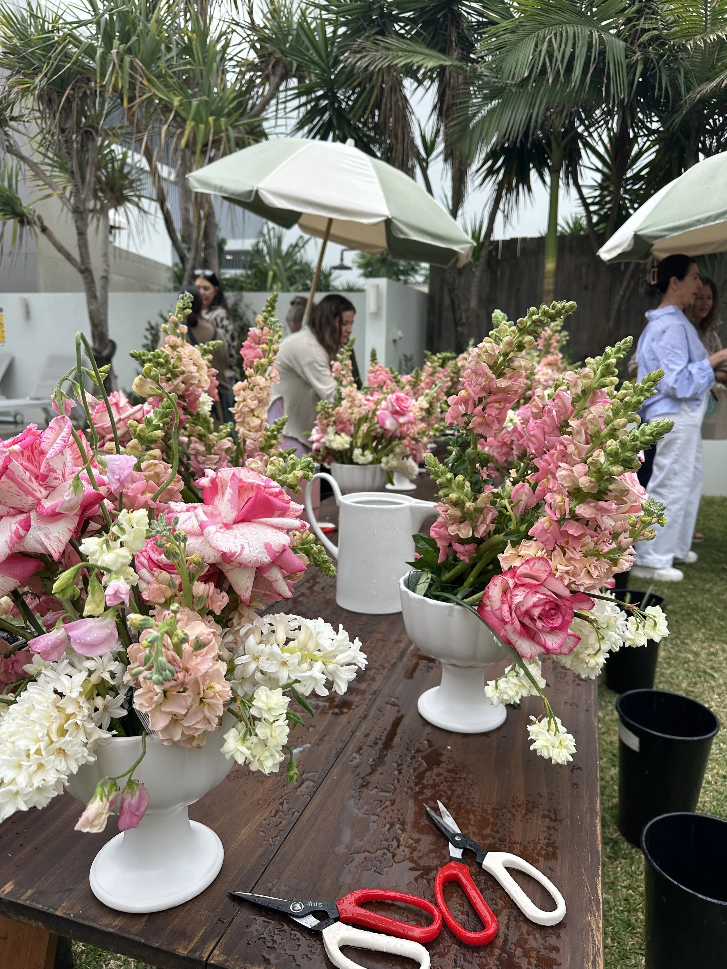 IMG_8916.jpeg