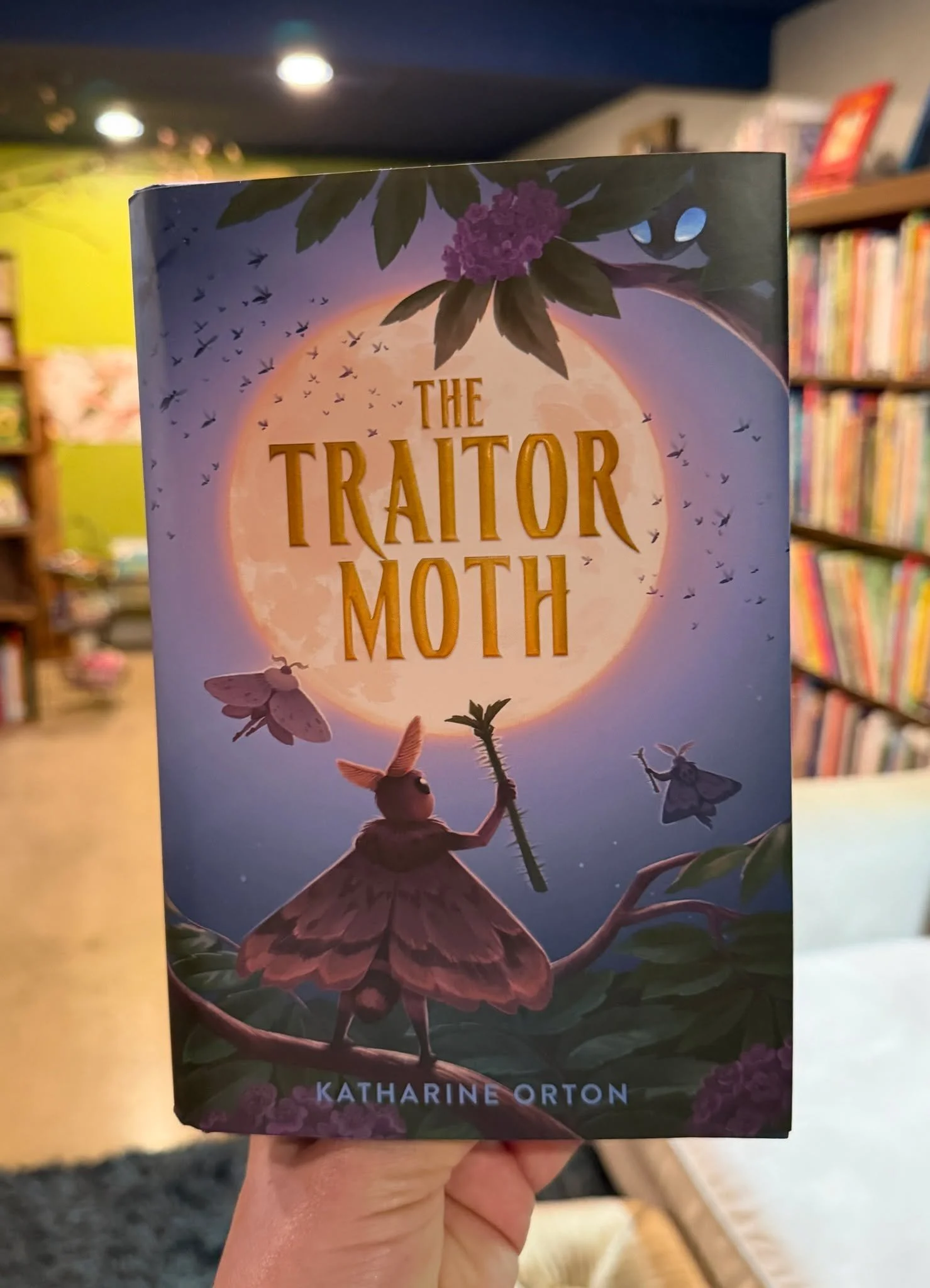 Catclaw dreams that one day he will have the gift of prophecy, just like his Dreamkin ancestors.

But many moons ago, the Dreamkins were exiled from the other noble moth clans for a crime too awful to even speak of, and their gift of prophecy was los