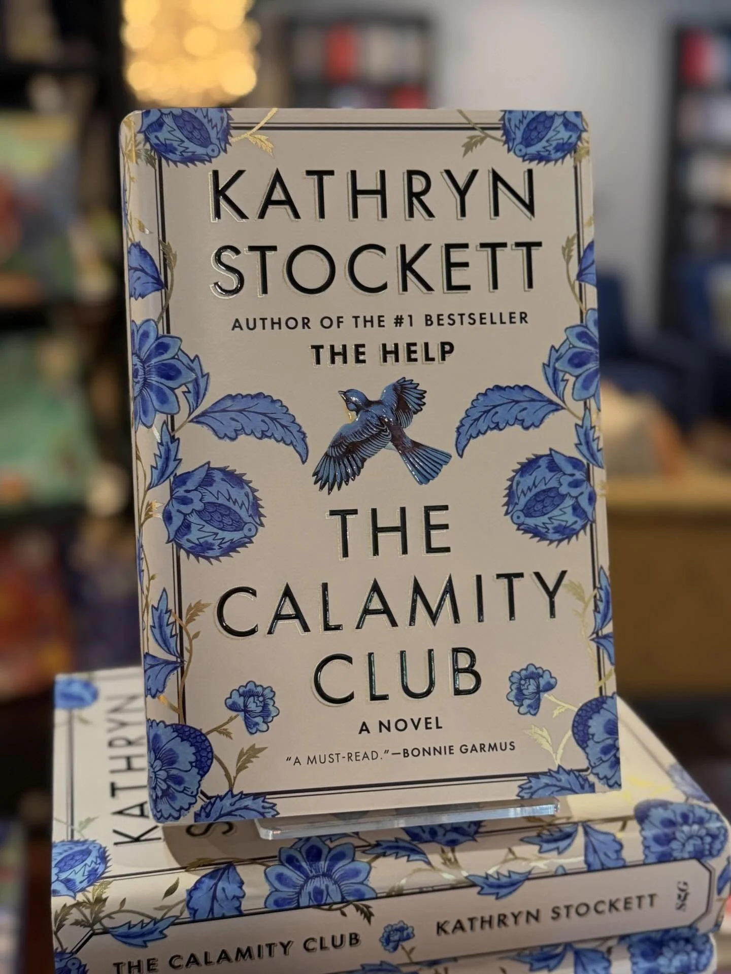 Oxford, Mississippi, 1933.

Abandoned by her mother one Christmas Eve, eleven-year-old Meg Lefleur has learned the hard way to rely on no one. Now one of the unadoptable &ldquo;big girls&rdquo; at the Lafayette County Orphan Asylum, she fights each d