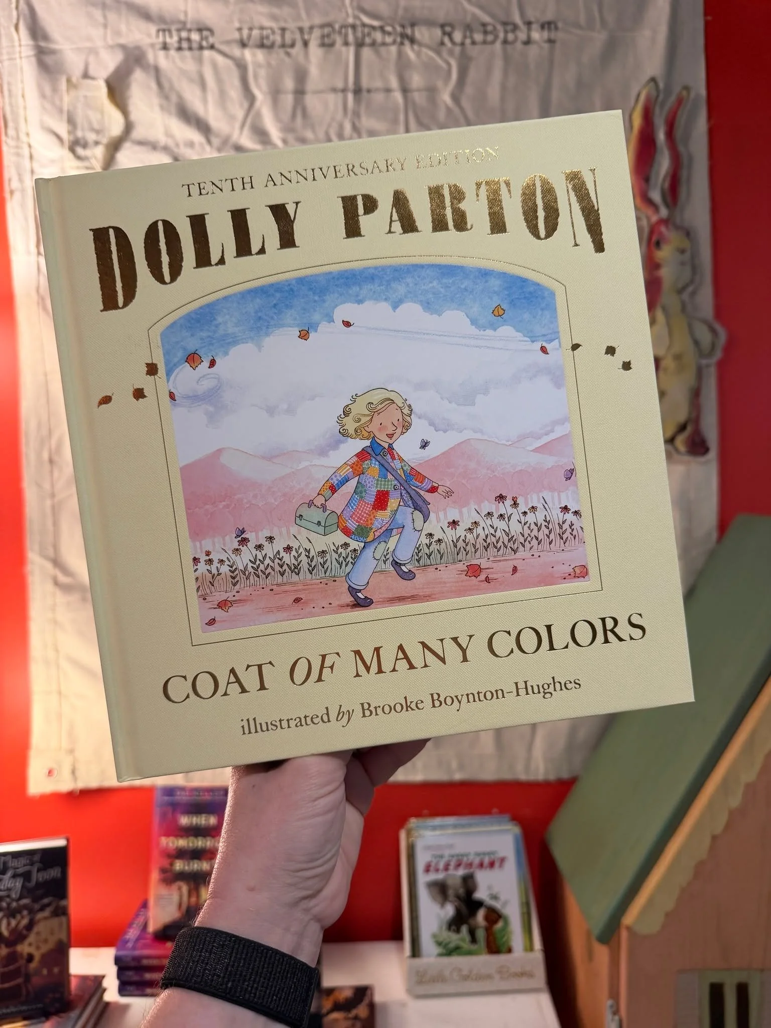 Although we had no money,
I was rich as I could be,
in my coat of many colors
my mama made for me.

Country music legend Dolly Parton's rural upbringing in the Smoky Mountains of Tennessee provides the backdrop for this special picture book. Using ly