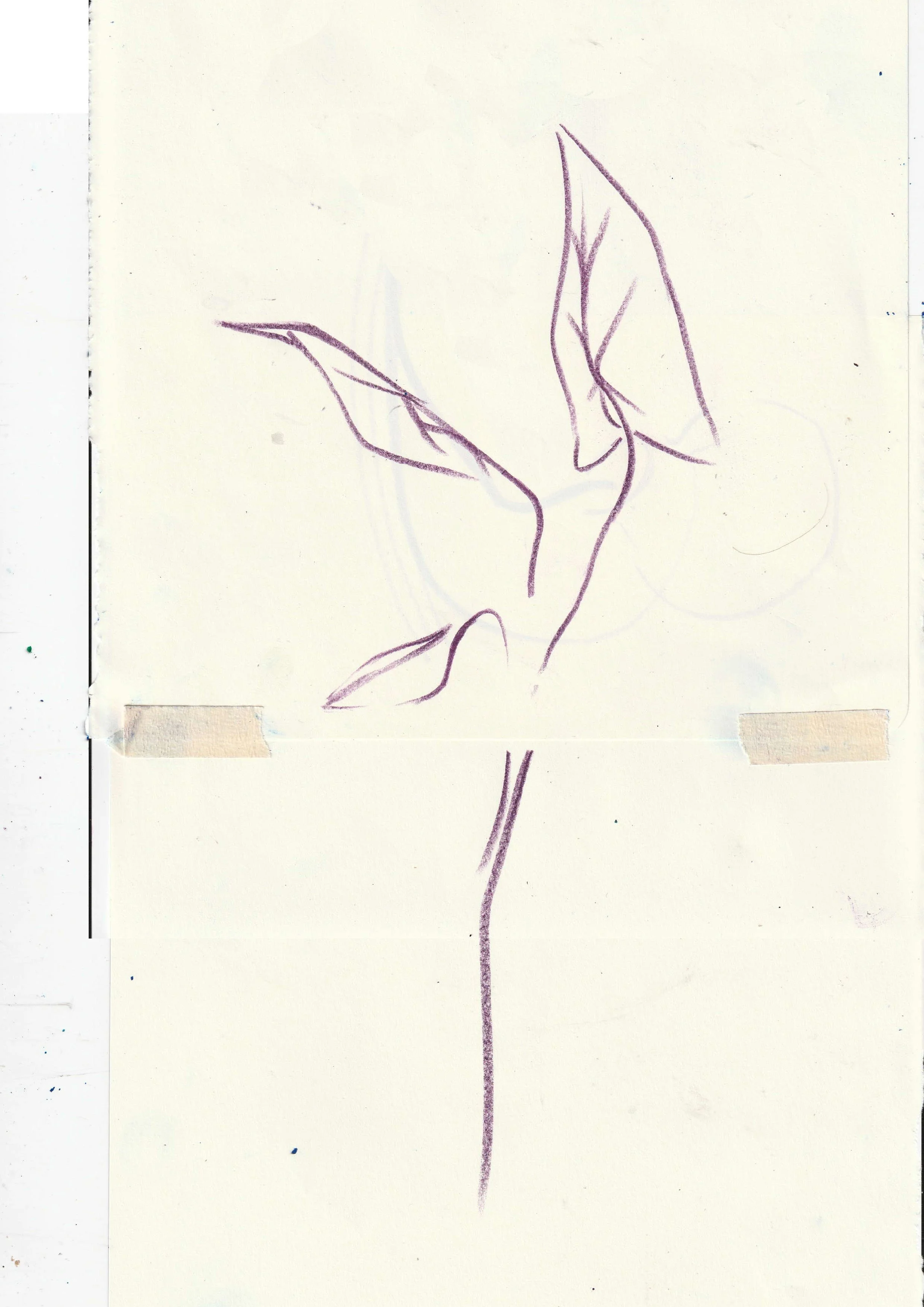 Flowers 2 copy.jpg