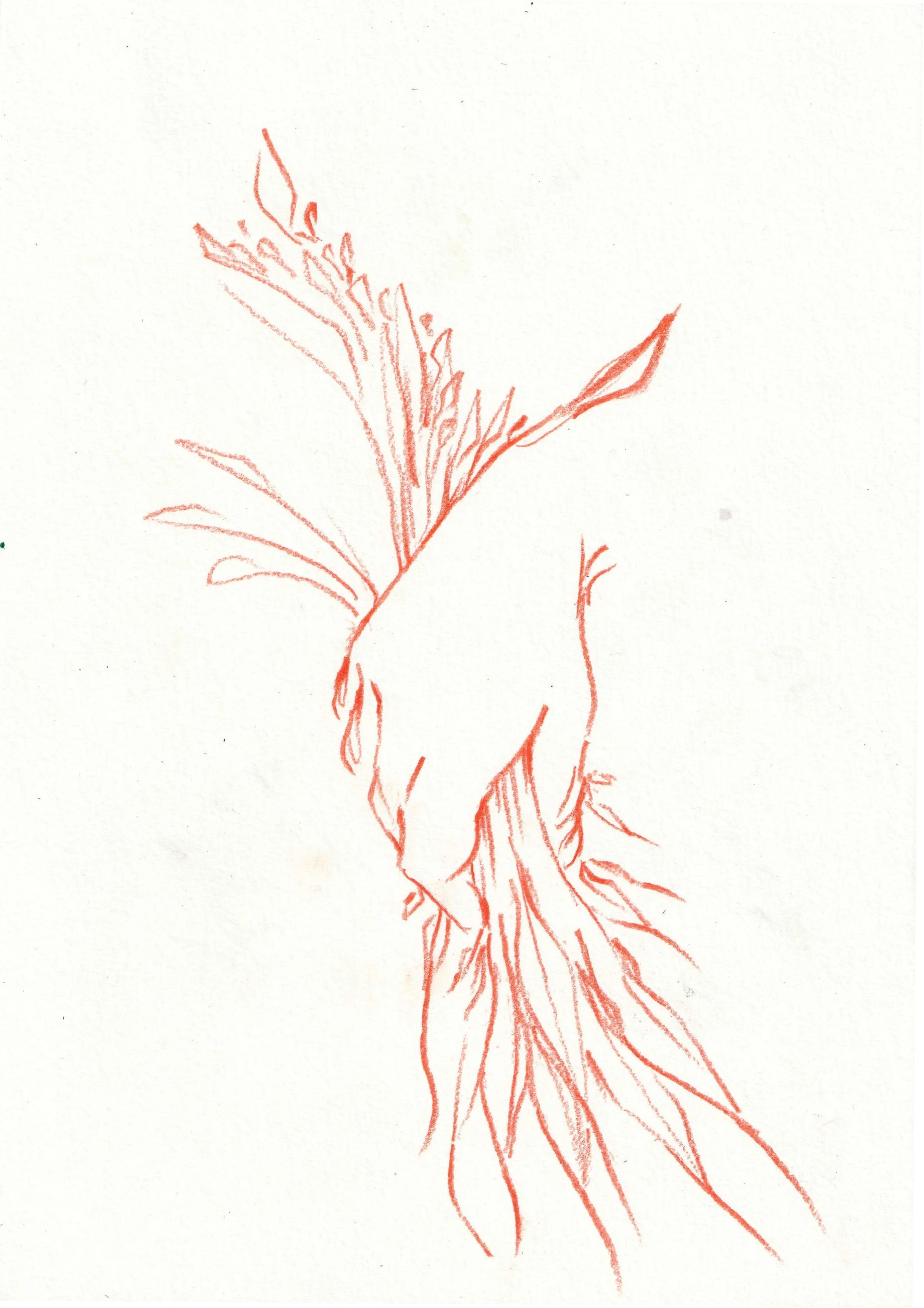 Harvest copy.jpg