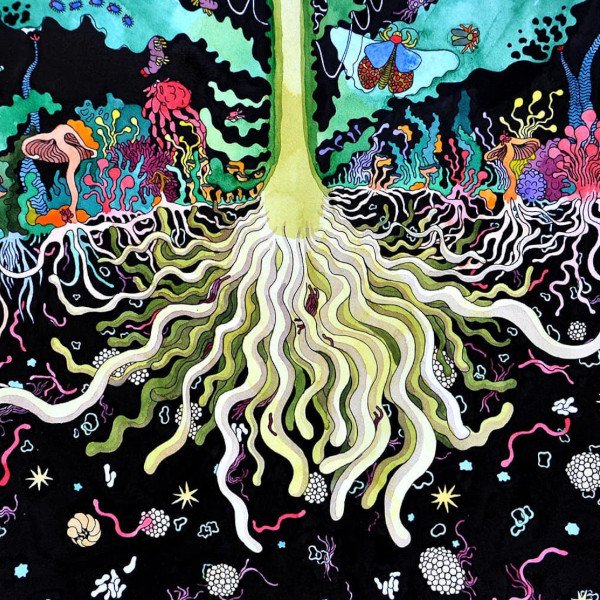 anne zeum x ferme de brouage 1.jpeg