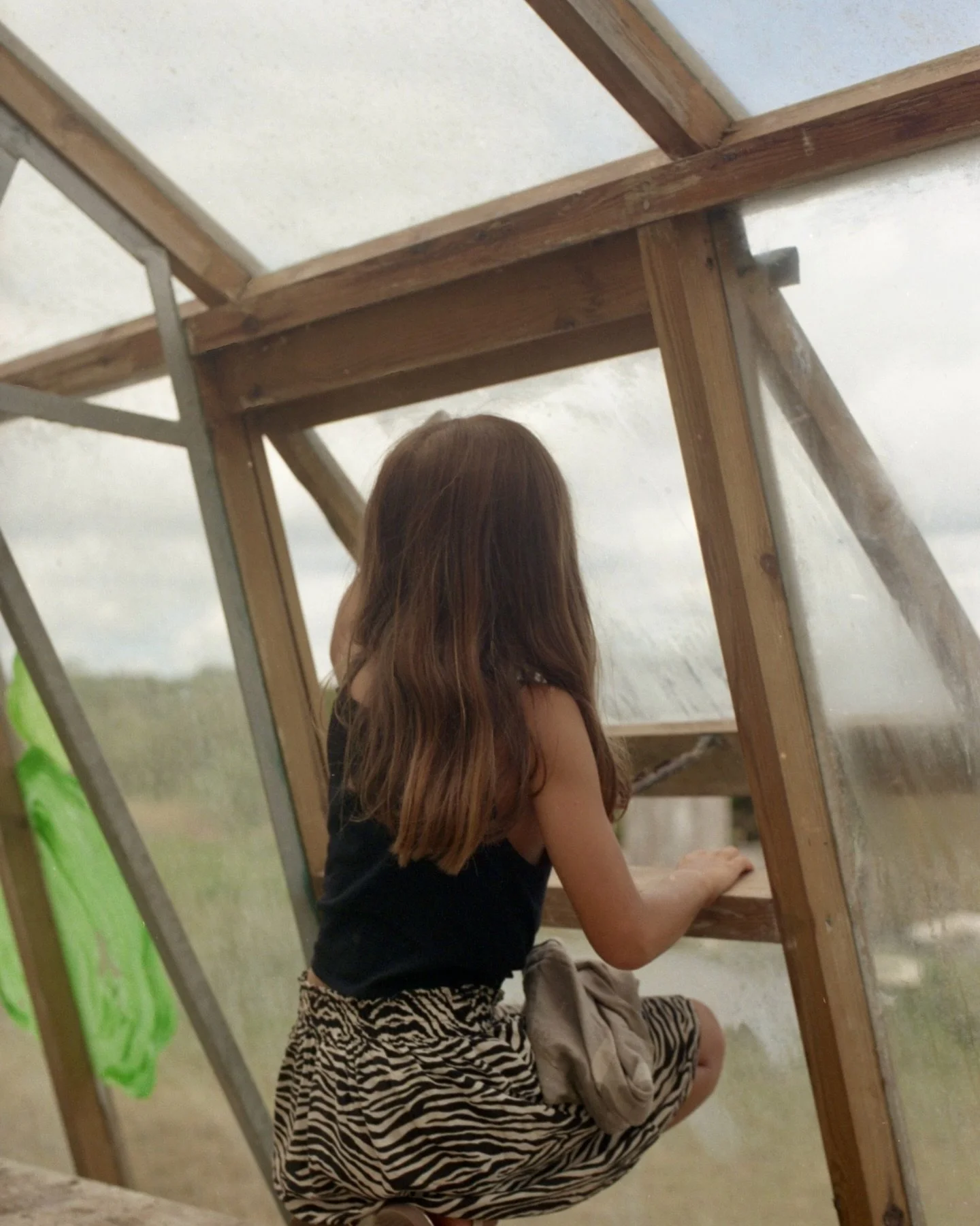 Sympathique passage à la ferme de @orianepicant, armée de ses bobines argentiques, suivant furtivement la récolte, interceptant conciliabules, natures mortes et courses canines effrénées.  Merci 😍 poke @hanhclaire