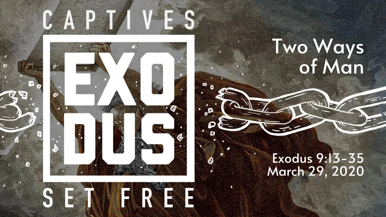 Scattered Worship | Sunday, March 29