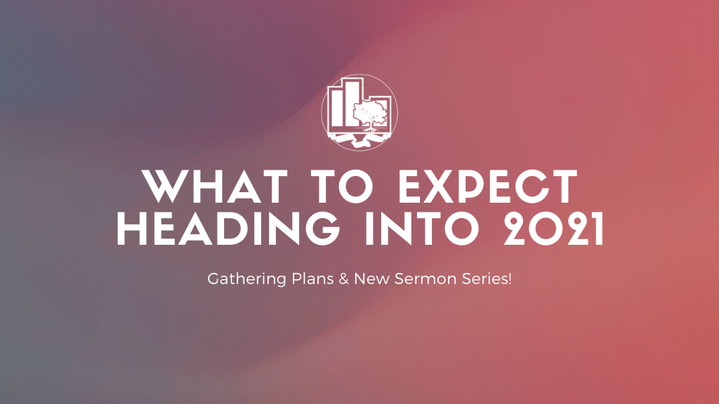 What to Expect Heading into 2021