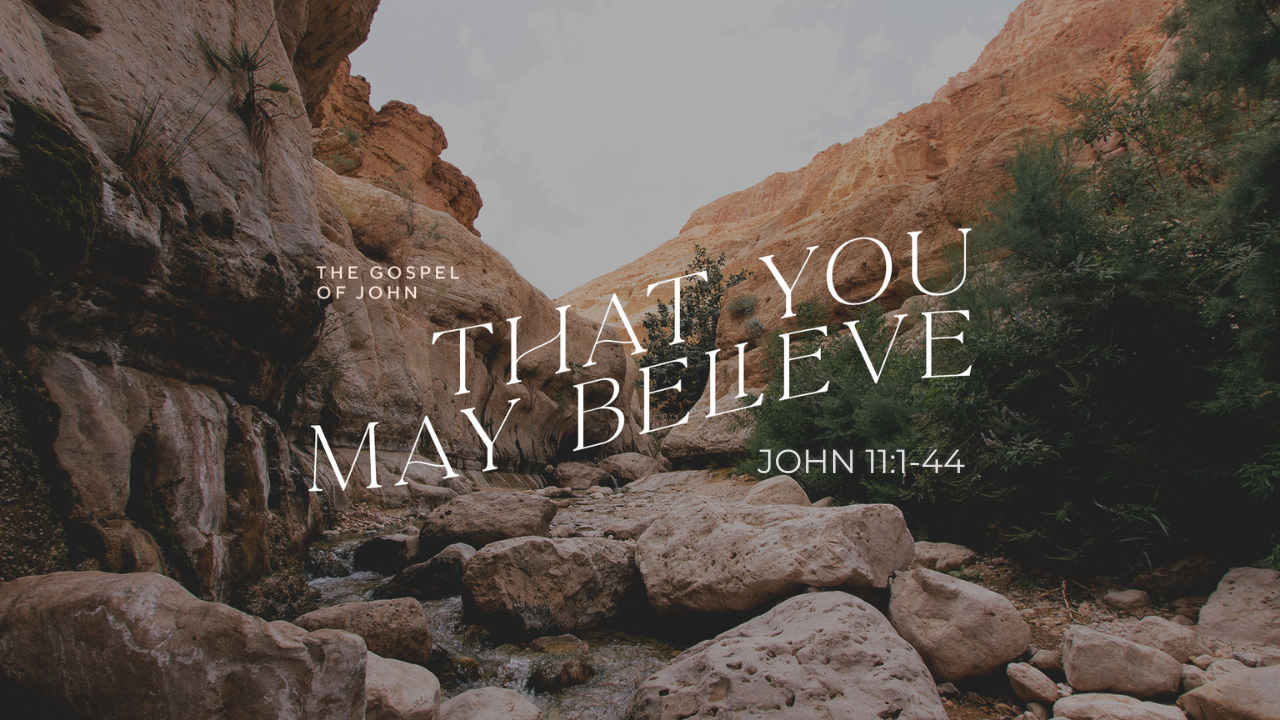 Jesus, the Resurrection and Life (John 11:1-44)