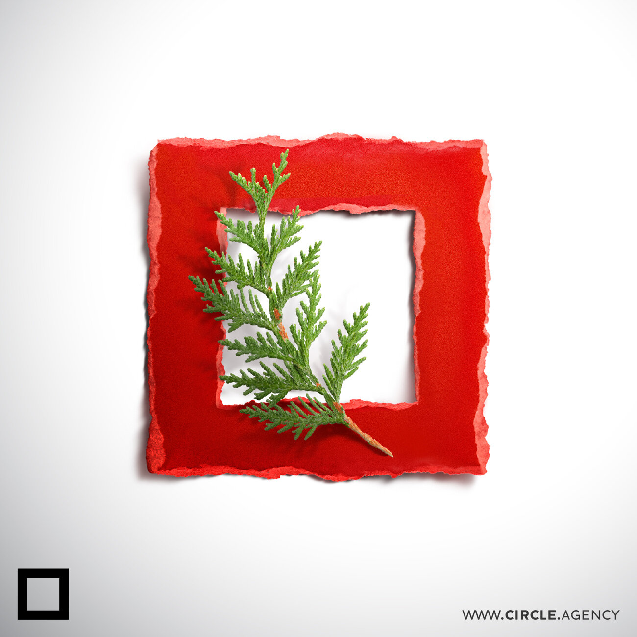 lebanon_flag_instagram_post_circle_visual_communication_square_shap_creative_branding_social_media_SM_digital_online_agency_design_house.jpg